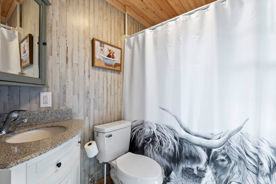 Gallery Image 10