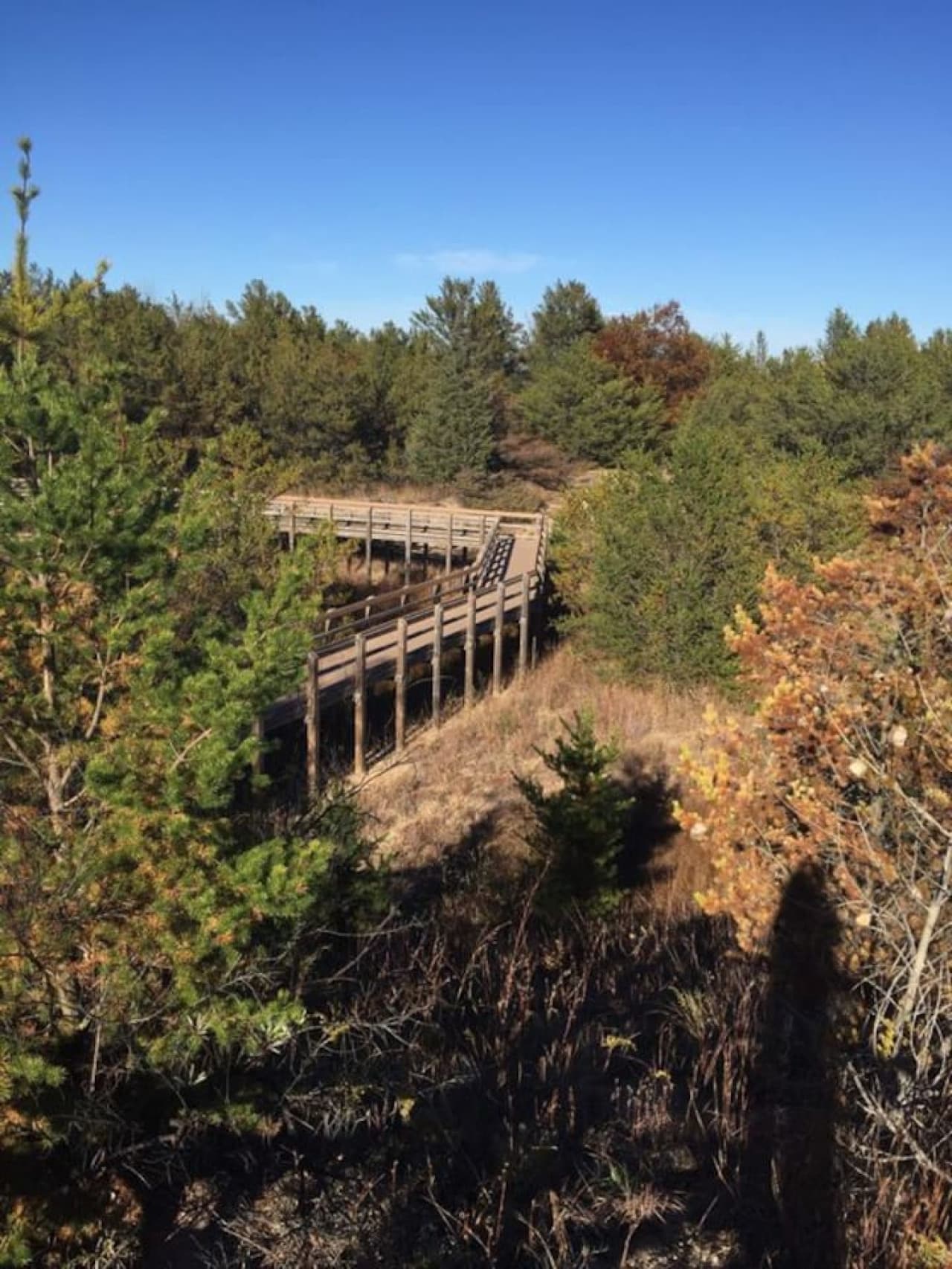 The Dune Succession Trail stairs at West Beach are only a short drive away and offer amazing views of Lake Michigan and the Chicago Skyline from the top