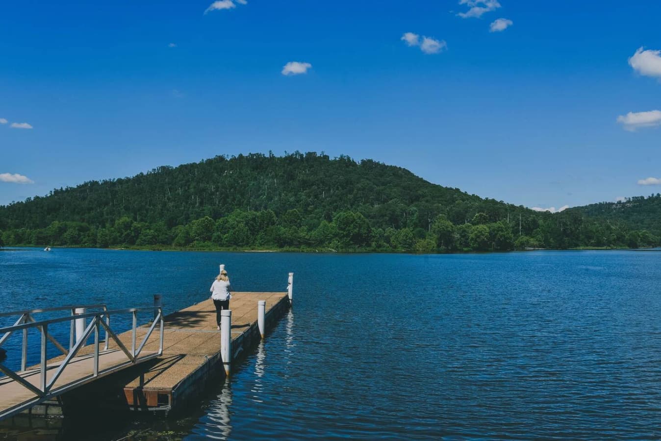 The Coco Château ViP Rental at Lake Guntersville Alabama