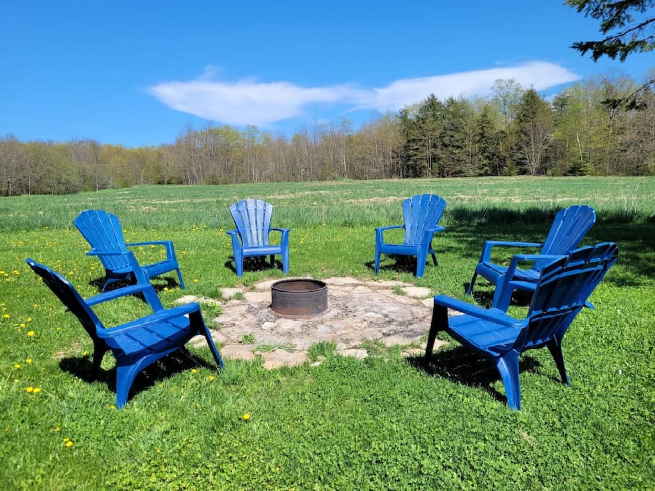 Fire-pit that faces the open fields and pine forest.