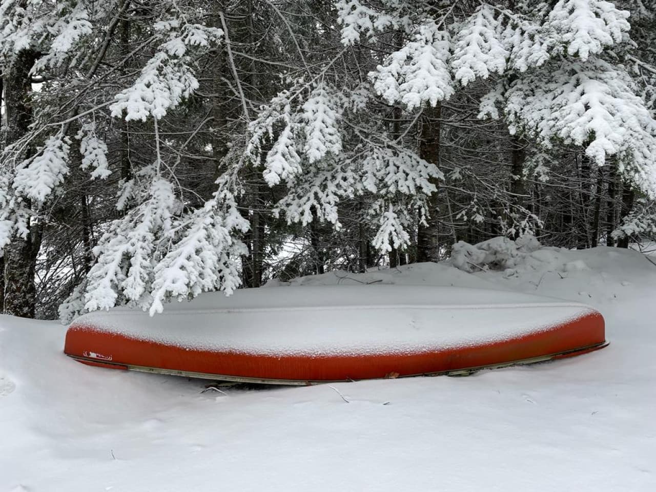 canoe.jpg