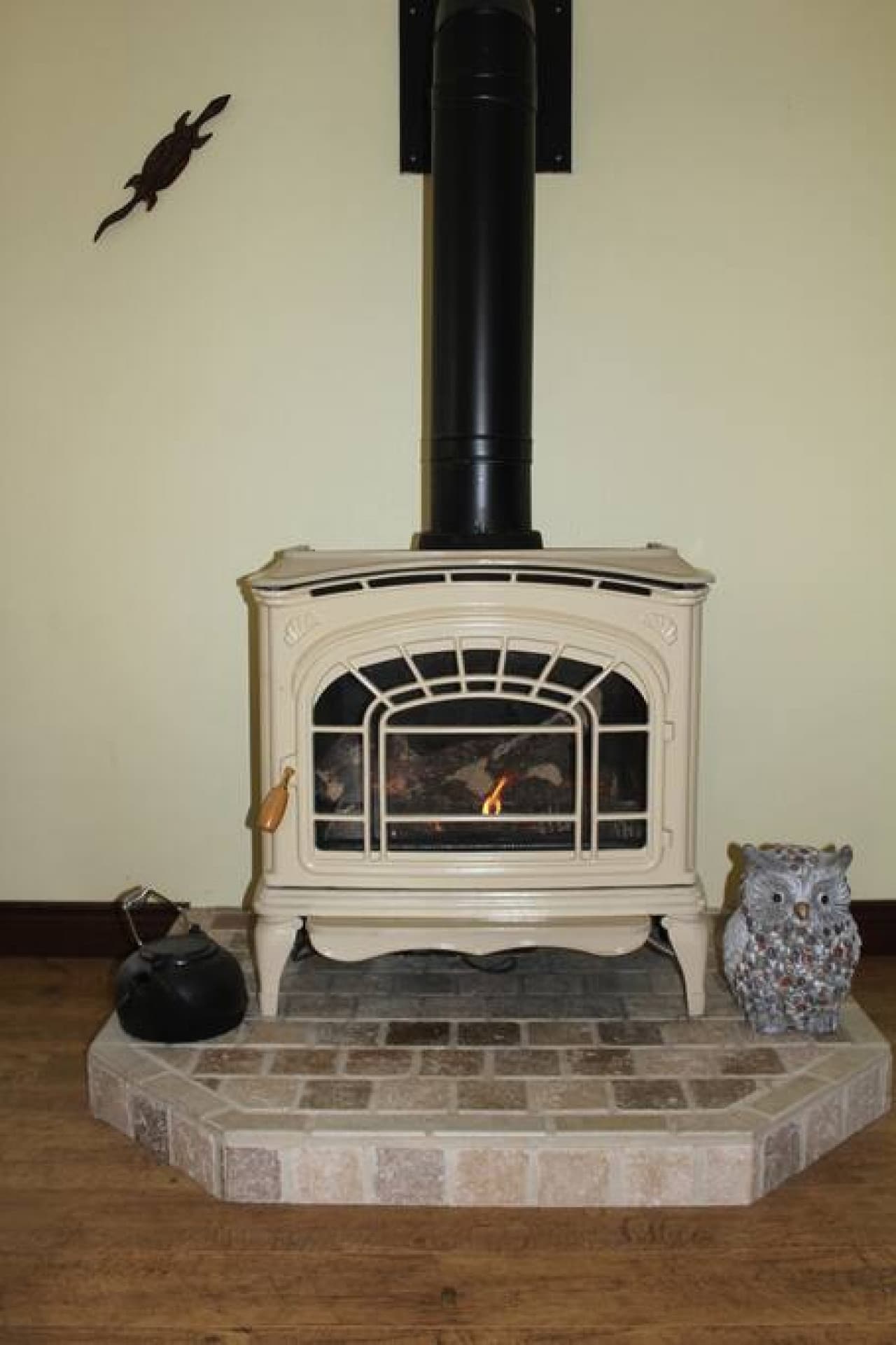 Propane fireplace is the living room.