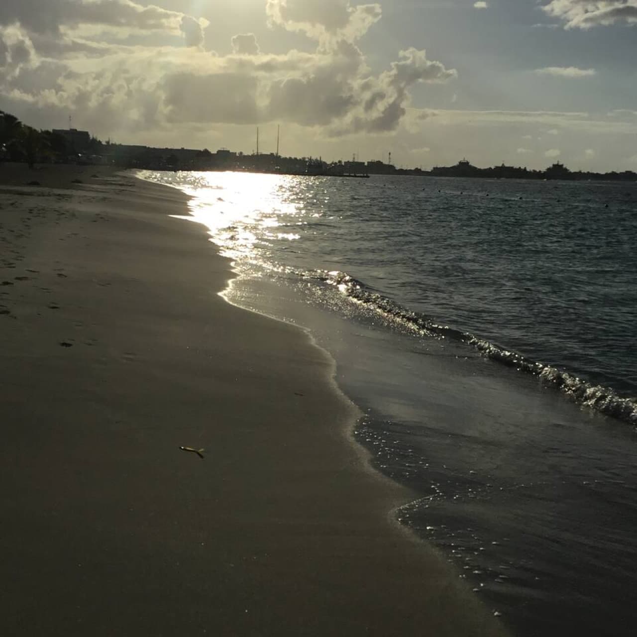 Gallery Image 56