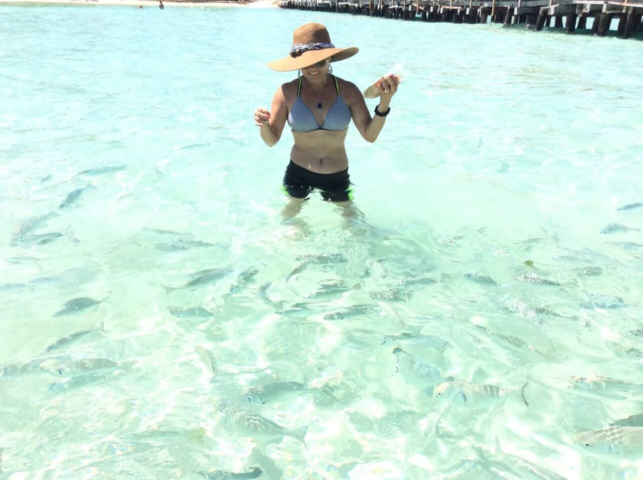 Feeding  many color  fIshes!! Next to Mia hotel