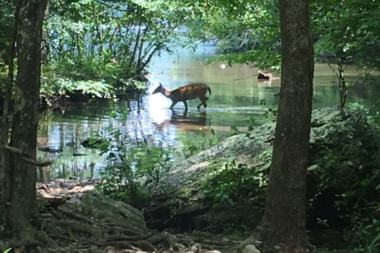 Gallery Image 25