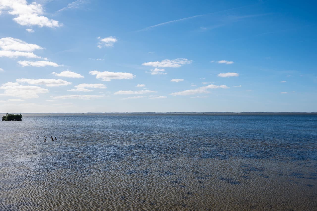 Wide open sound view from the shoreline — calm, shallow water as far as you can see.