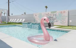 Palm Vista