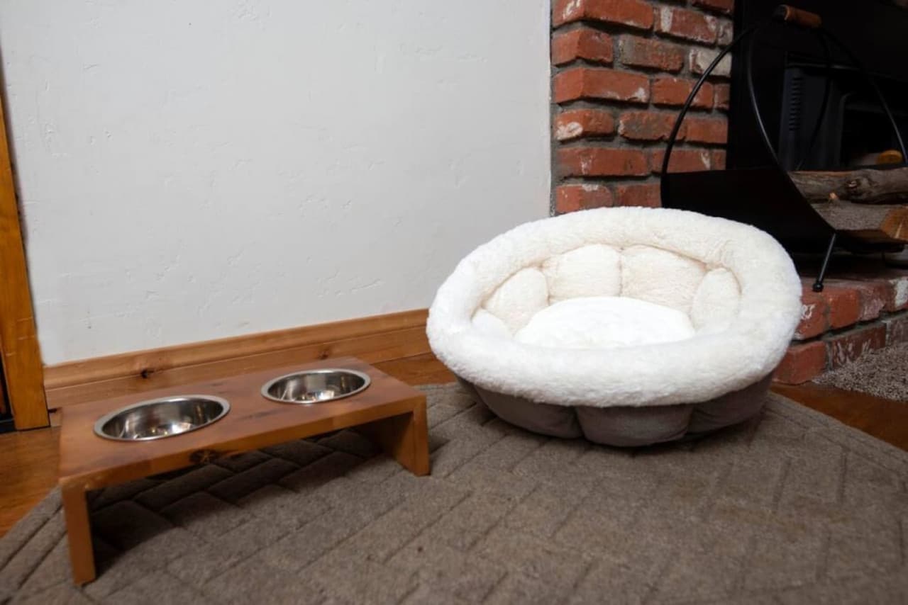 We are pre friendly, catering to our furry friends, we have a small dog bed available, doggy treats, poop bags and water and food bowls - Rather Be Properties