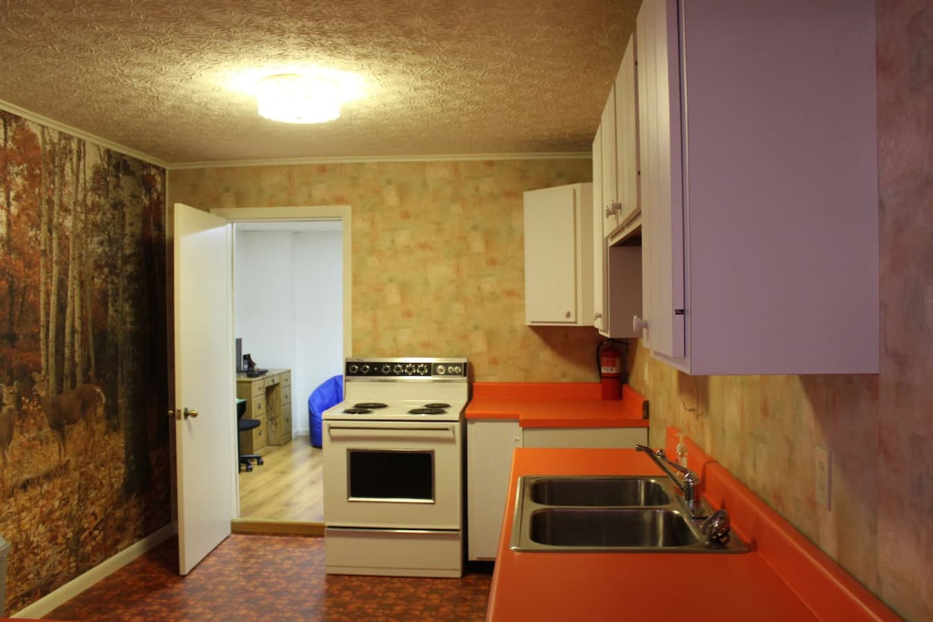 Gallery Image 19