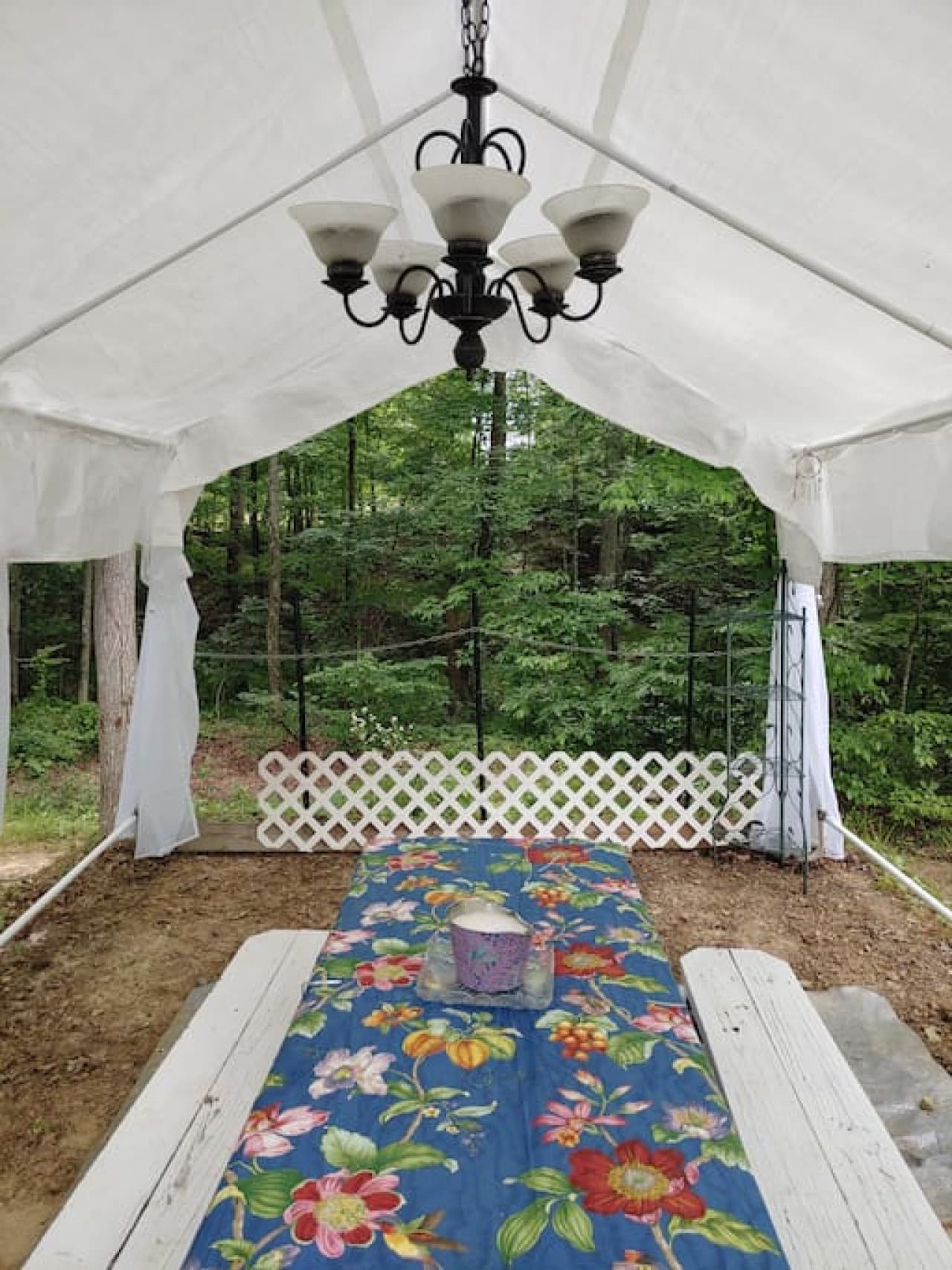 RV spot # 6 at Watts Bar Lake · RV spot # 6 at Watts Bar Lake