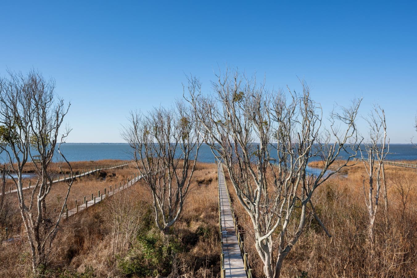 Scenic overlook of natural marshland offering quiet moments & coastal breezes