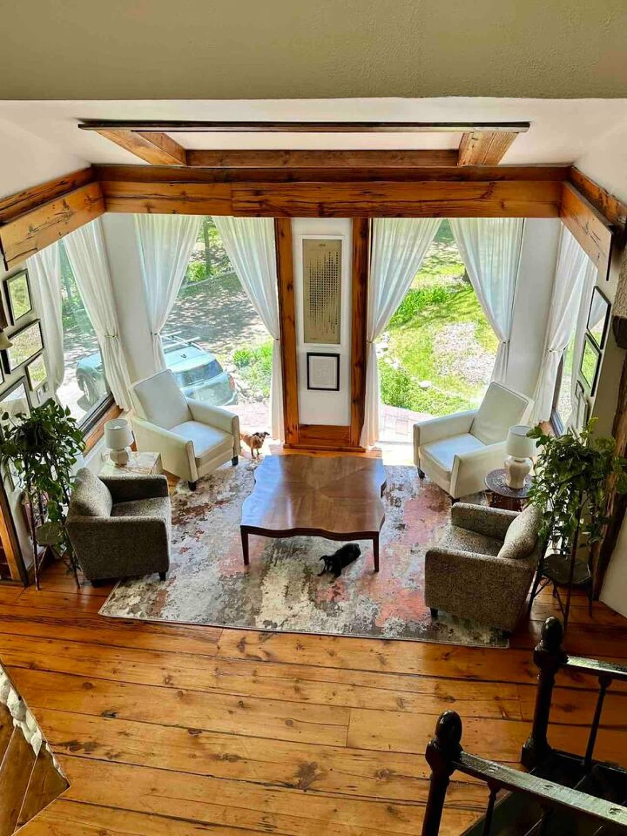 Living area (dogs not included )