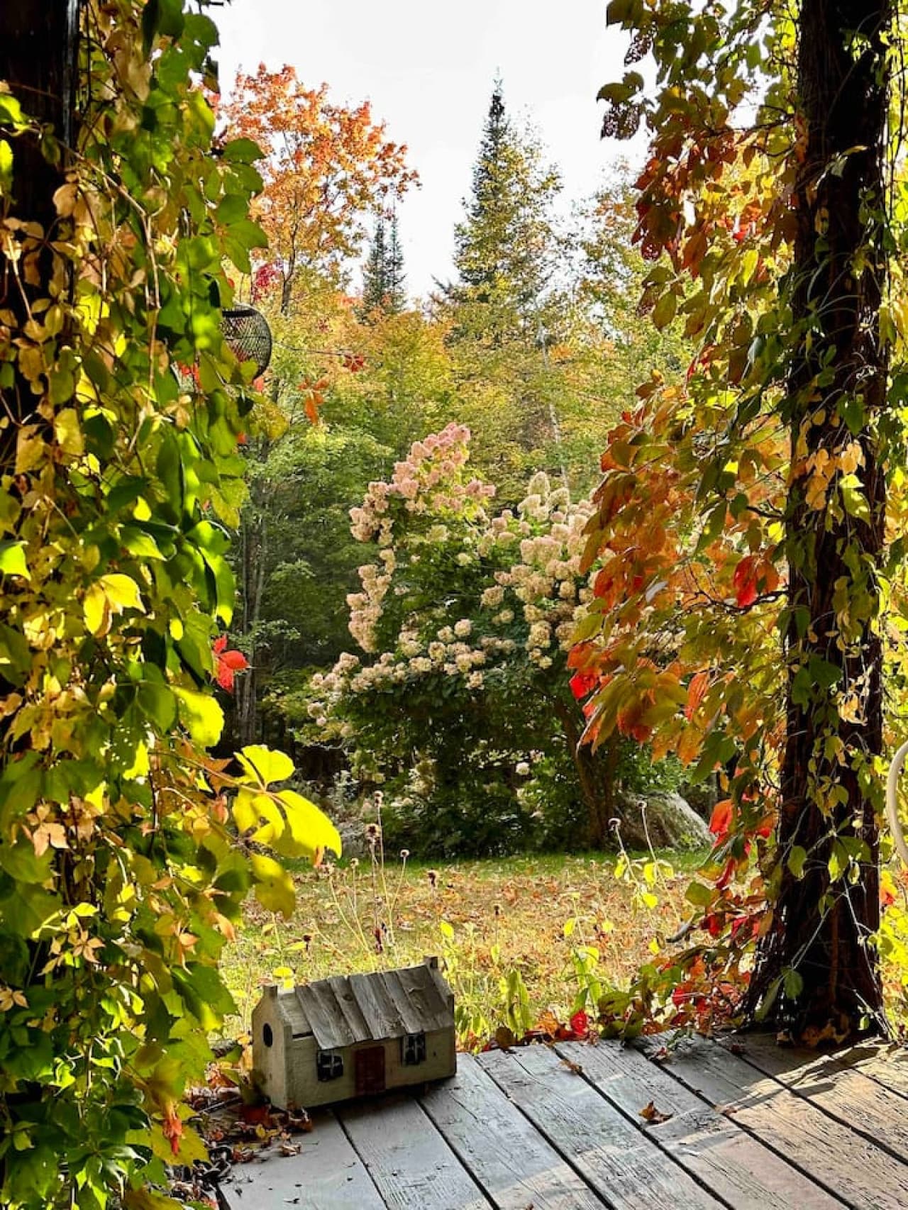 Autumn colours