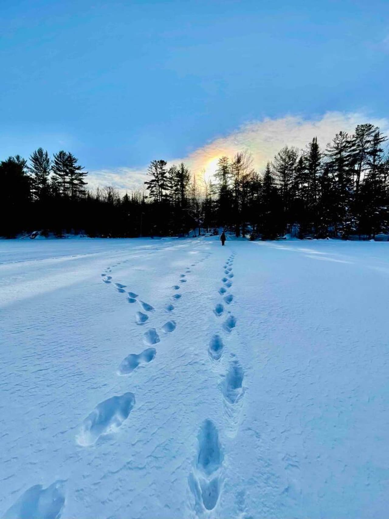 Winter walks in Cantley