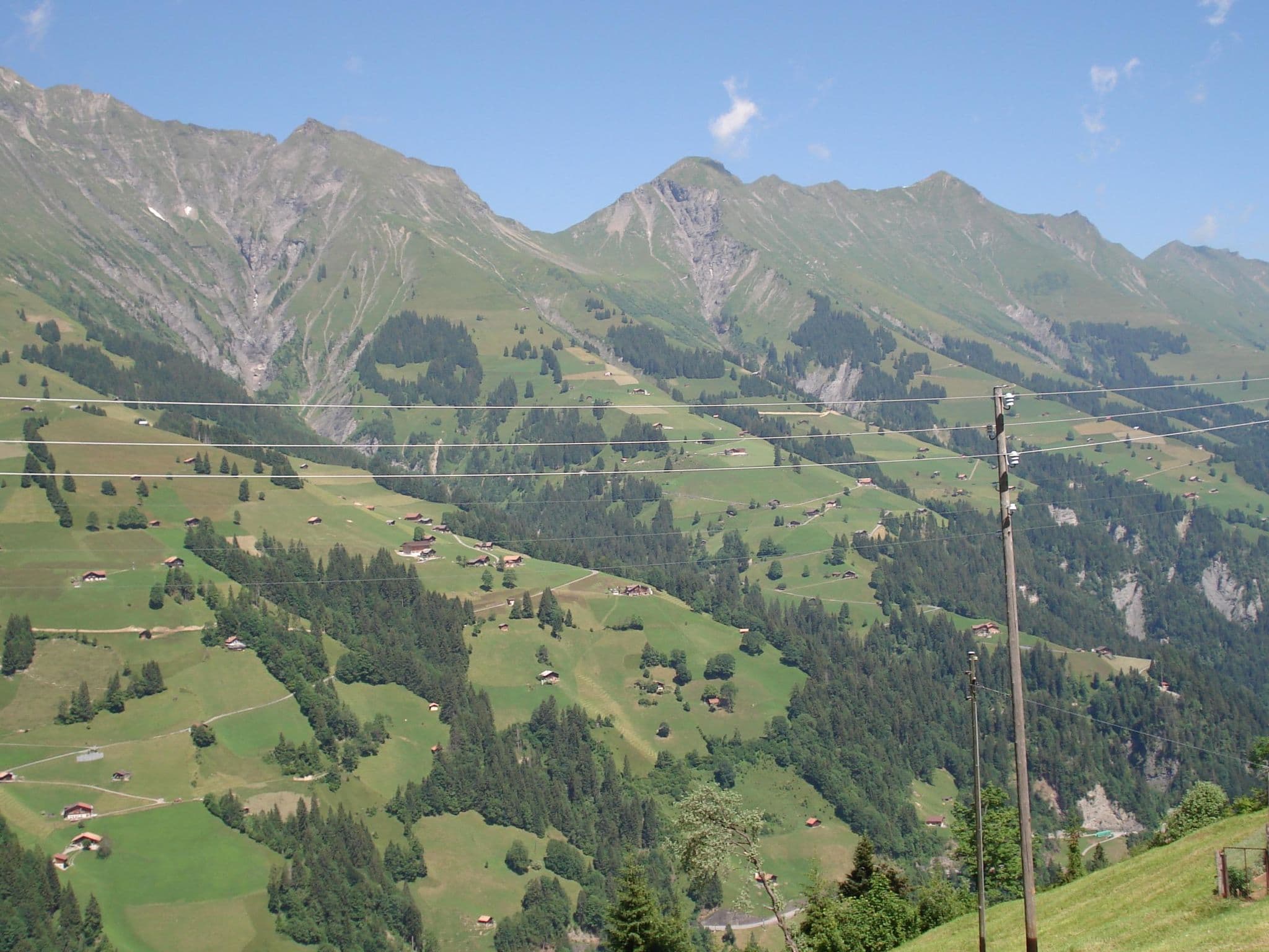 View