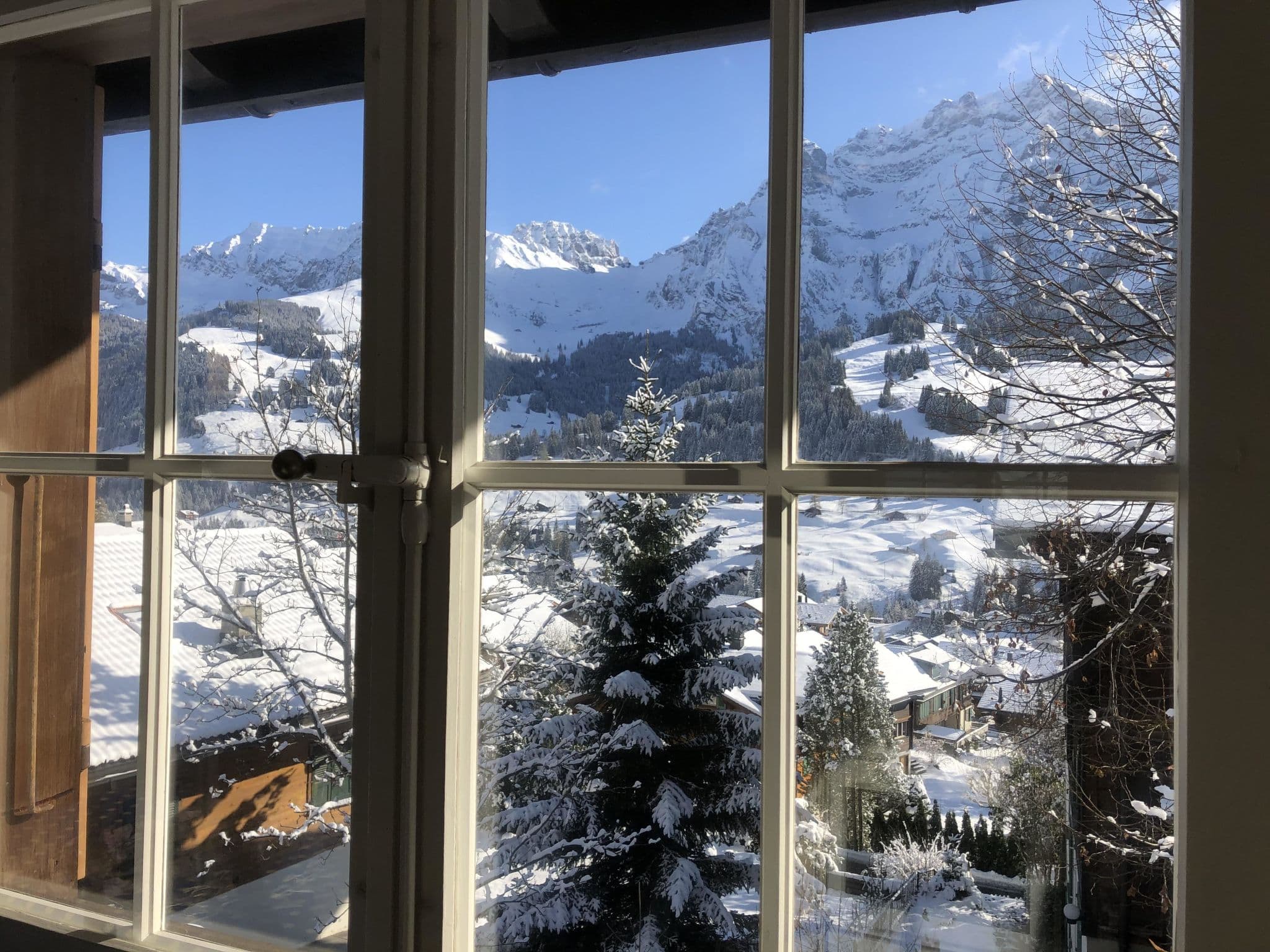 View