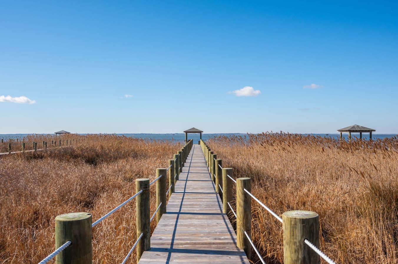 Boardwalk through the marsh grass leading out to the covered pier & open water