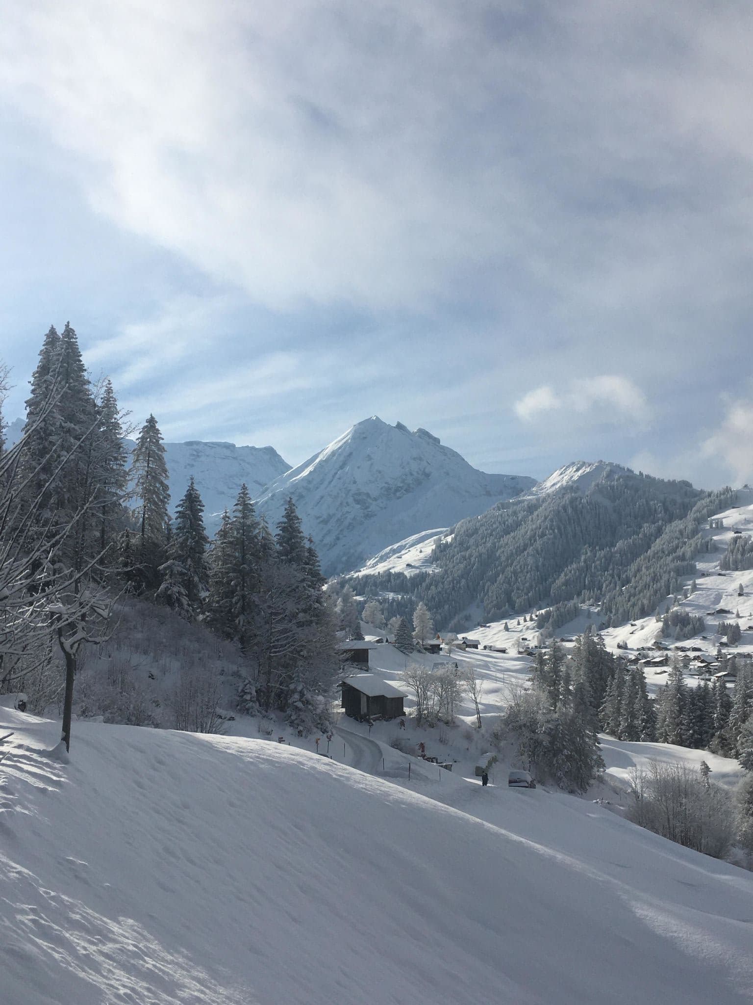 View