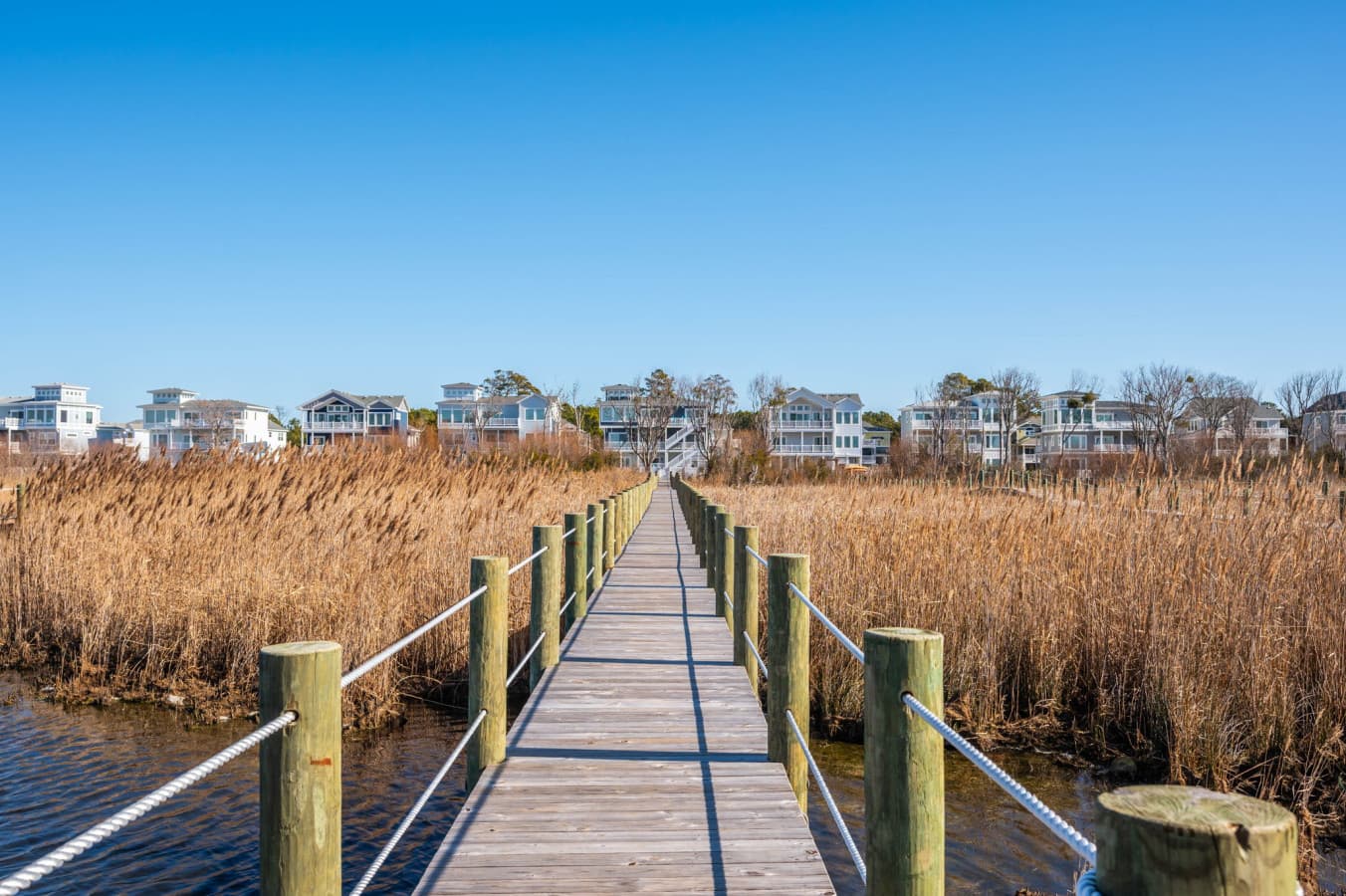 Elevated boardwalk crossing the reeds between the house & the water's edge