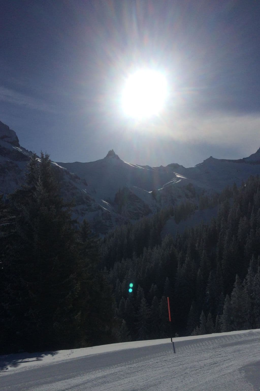 View