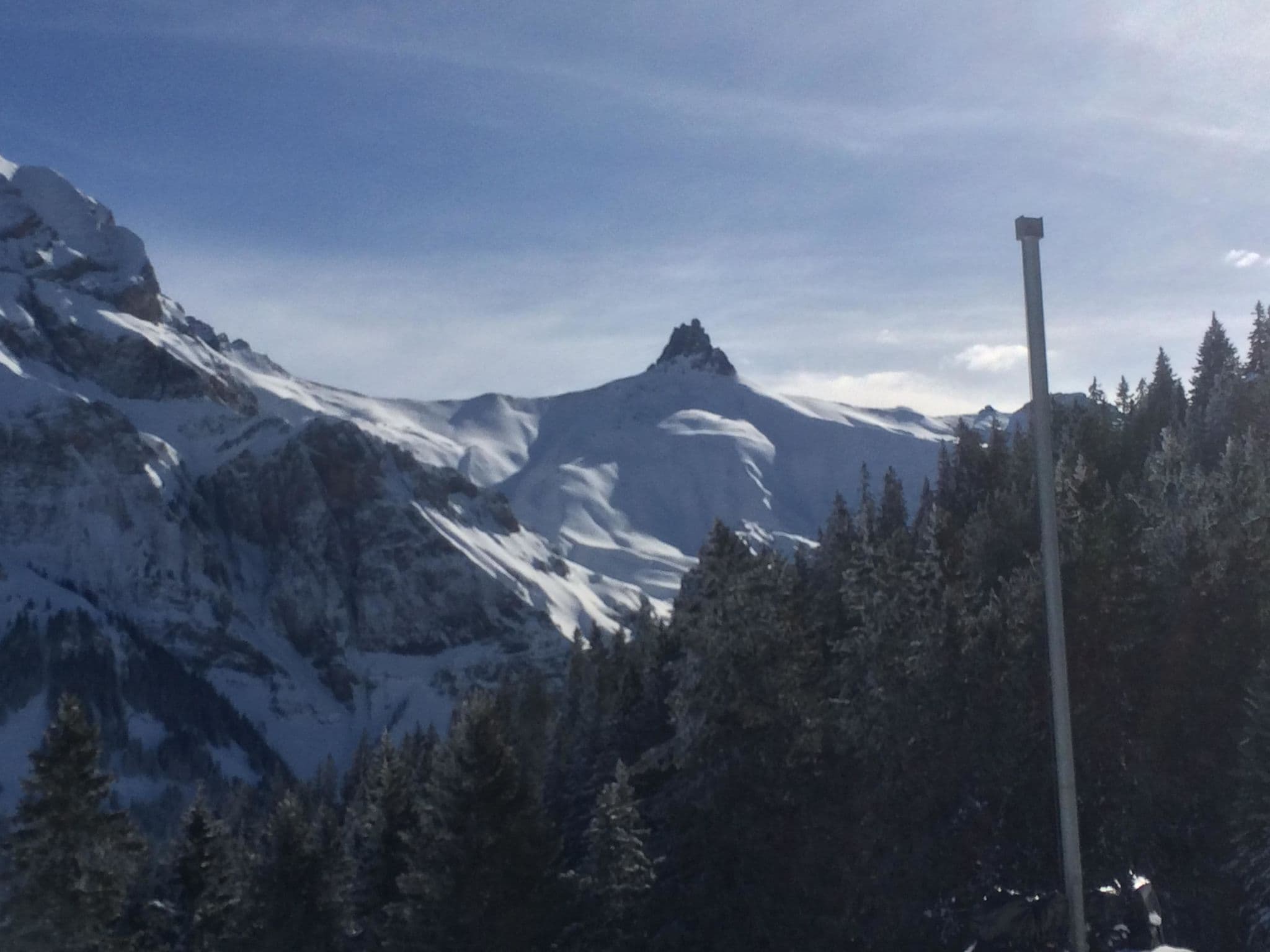View