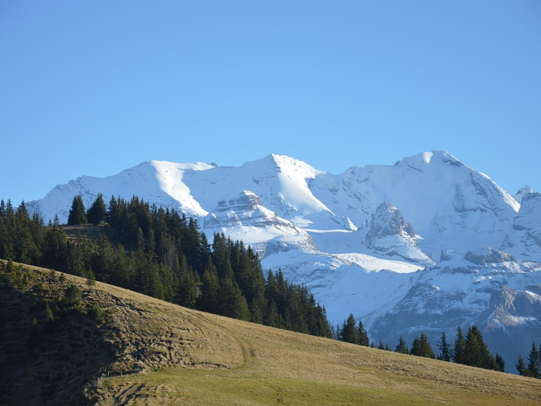 View