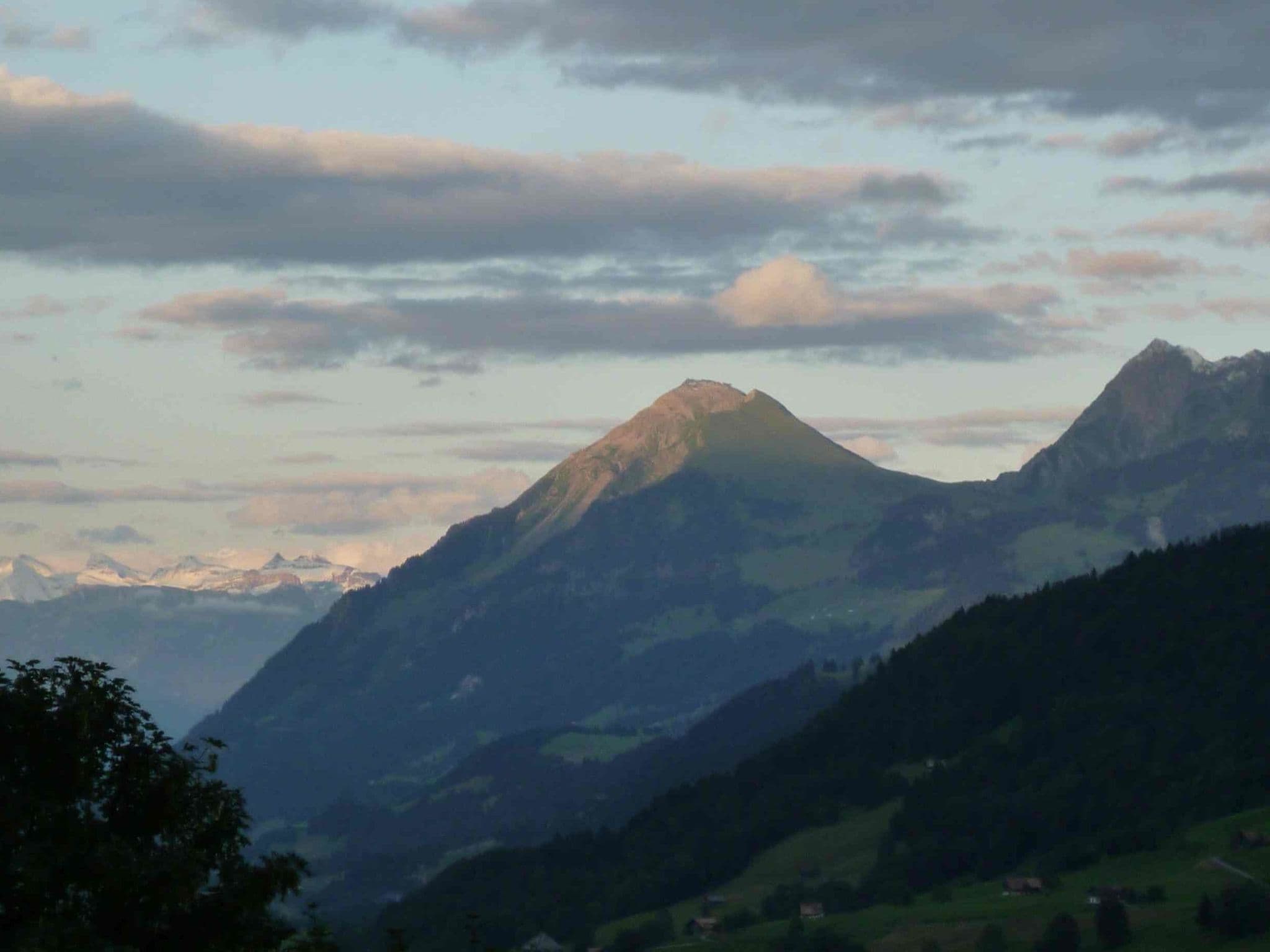 View