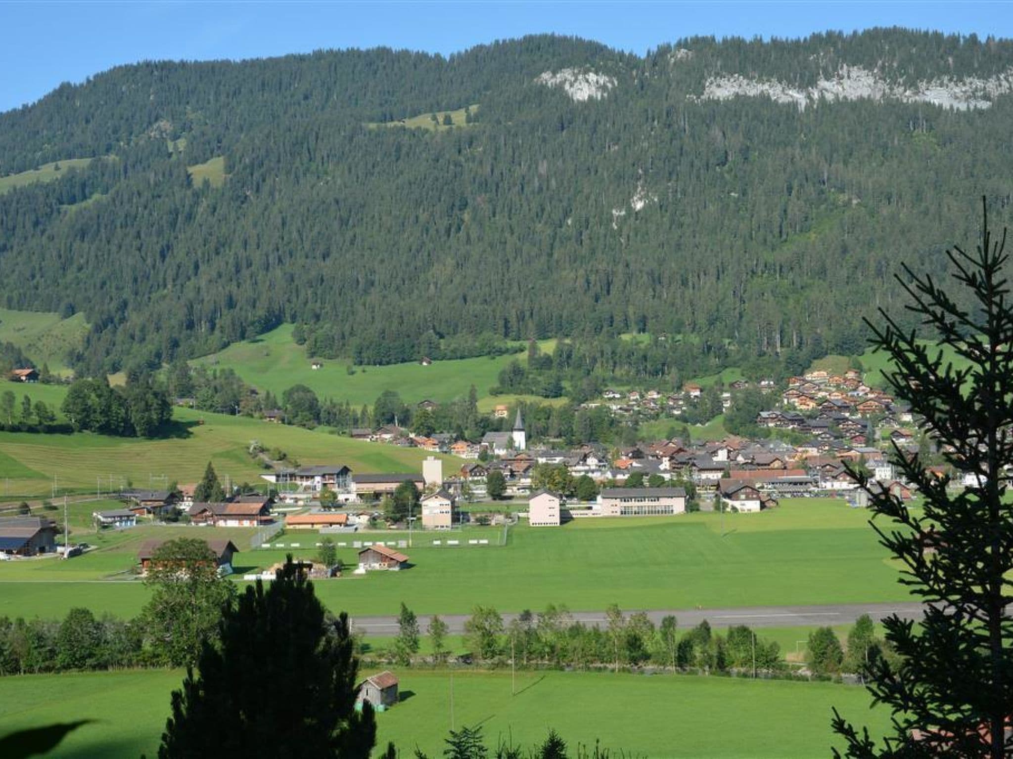 View