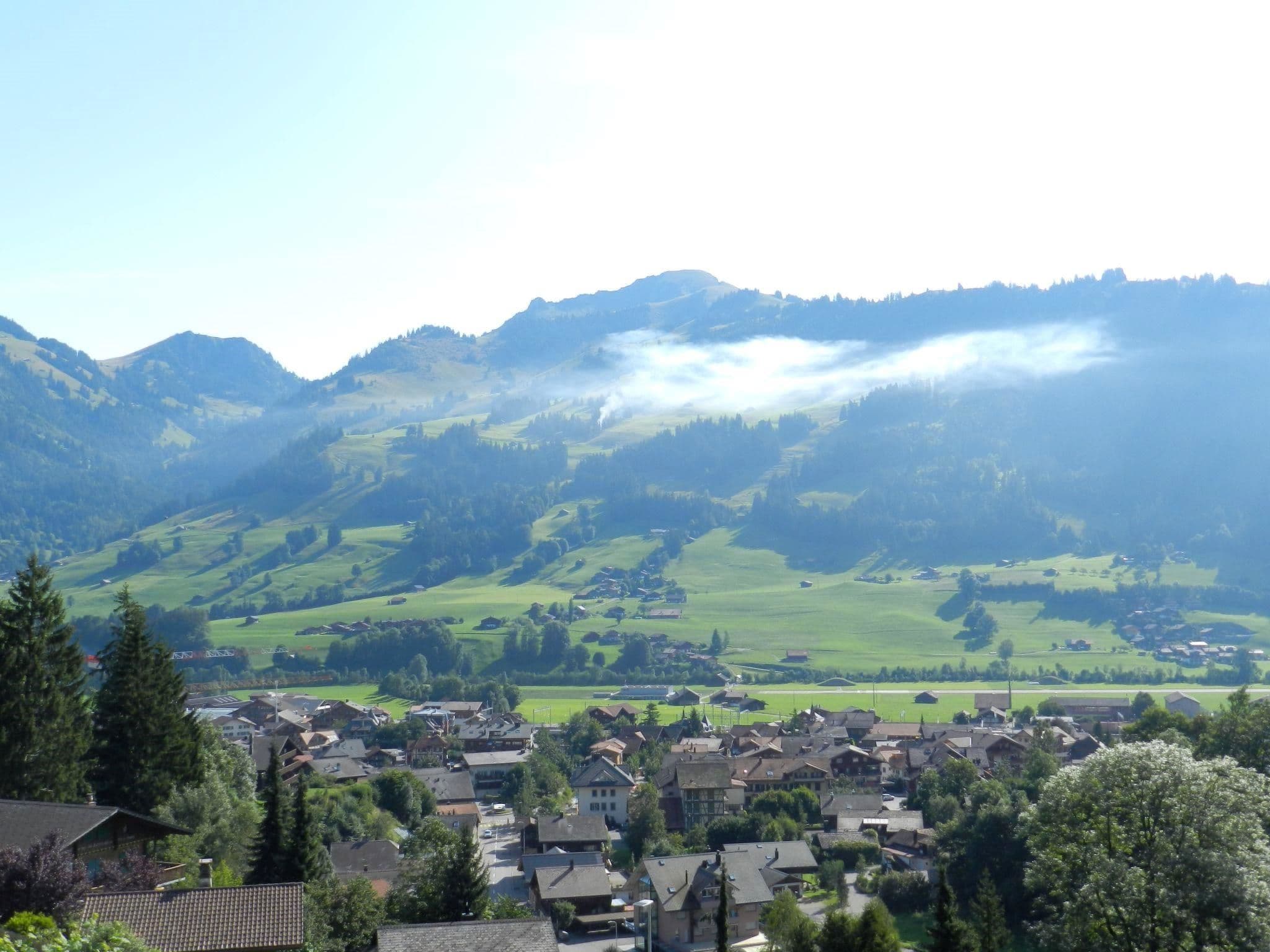 View