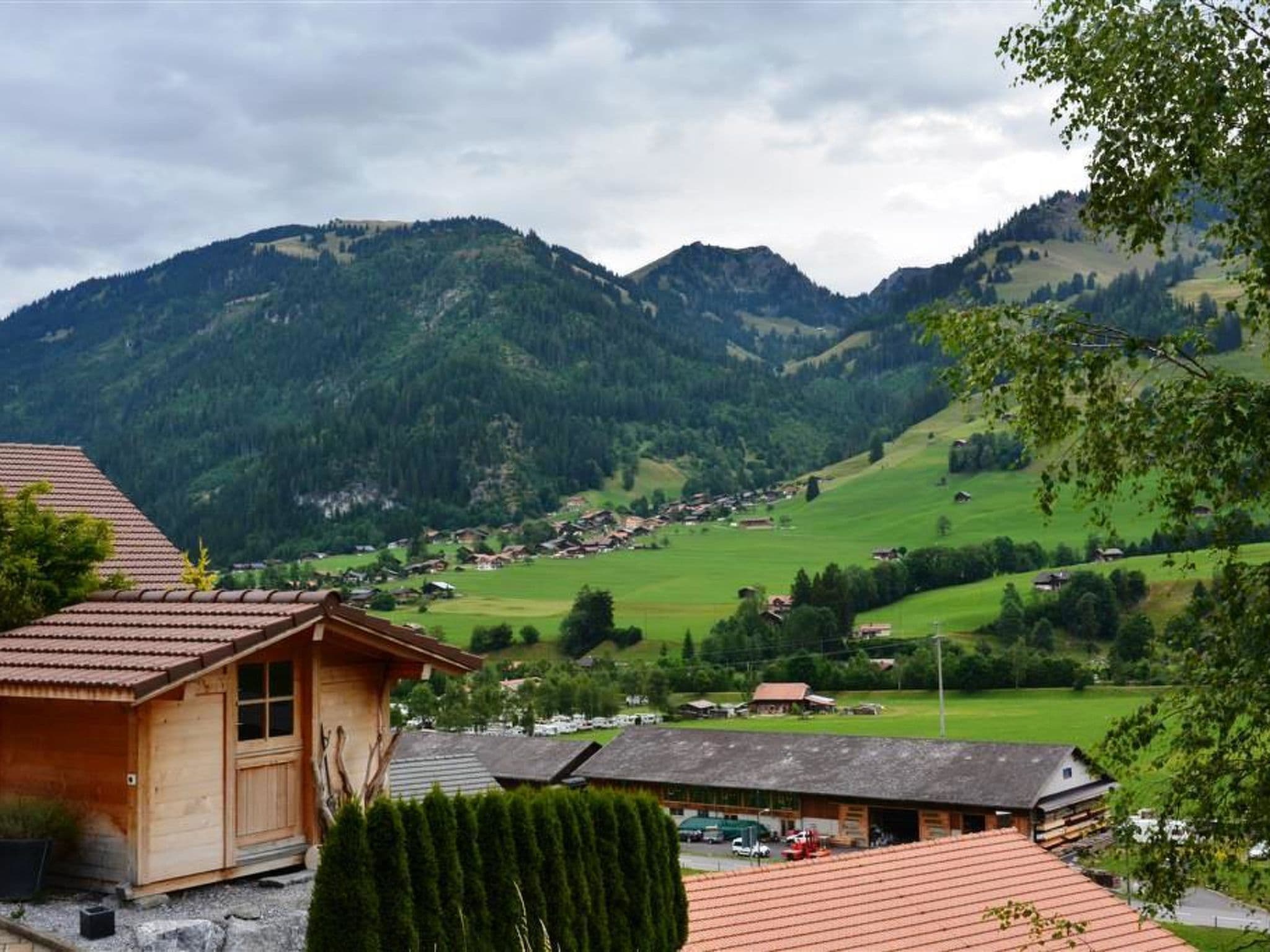 View