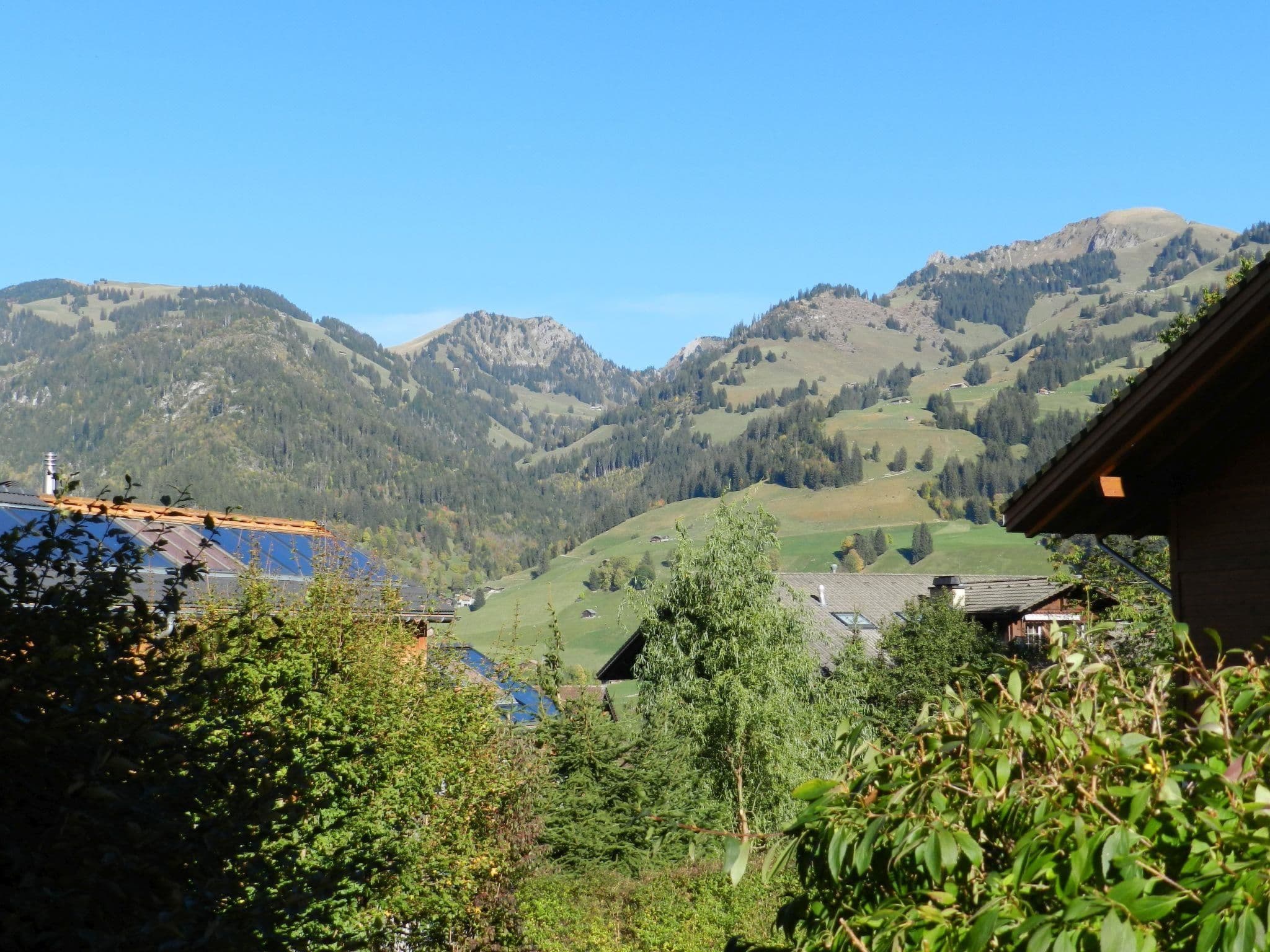 View