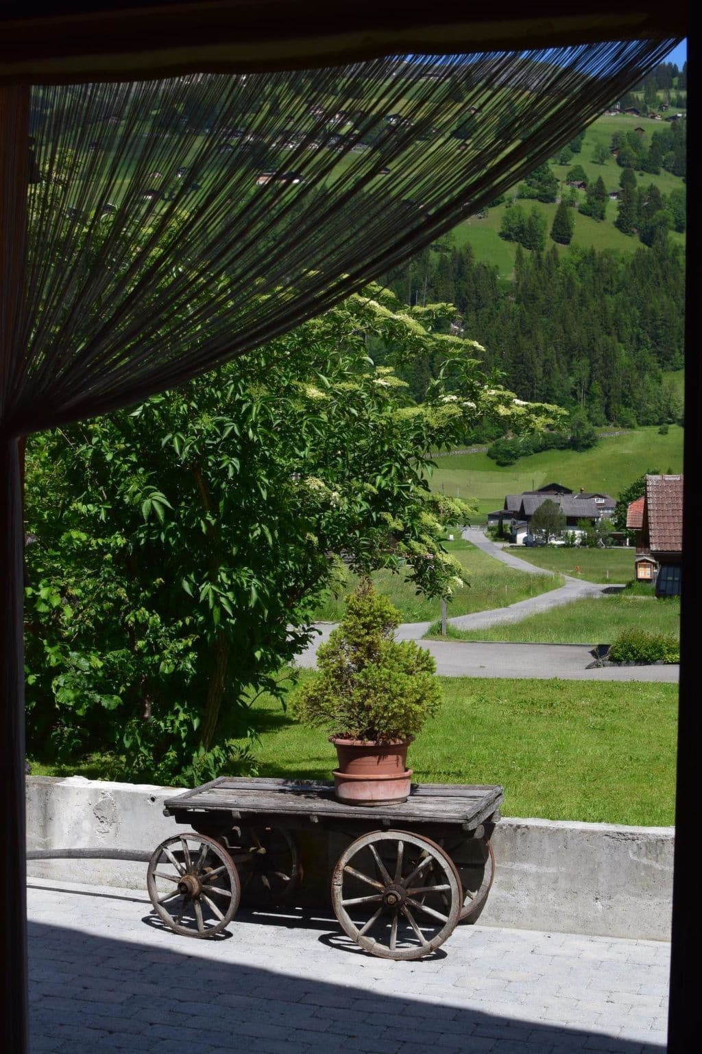 Terrace