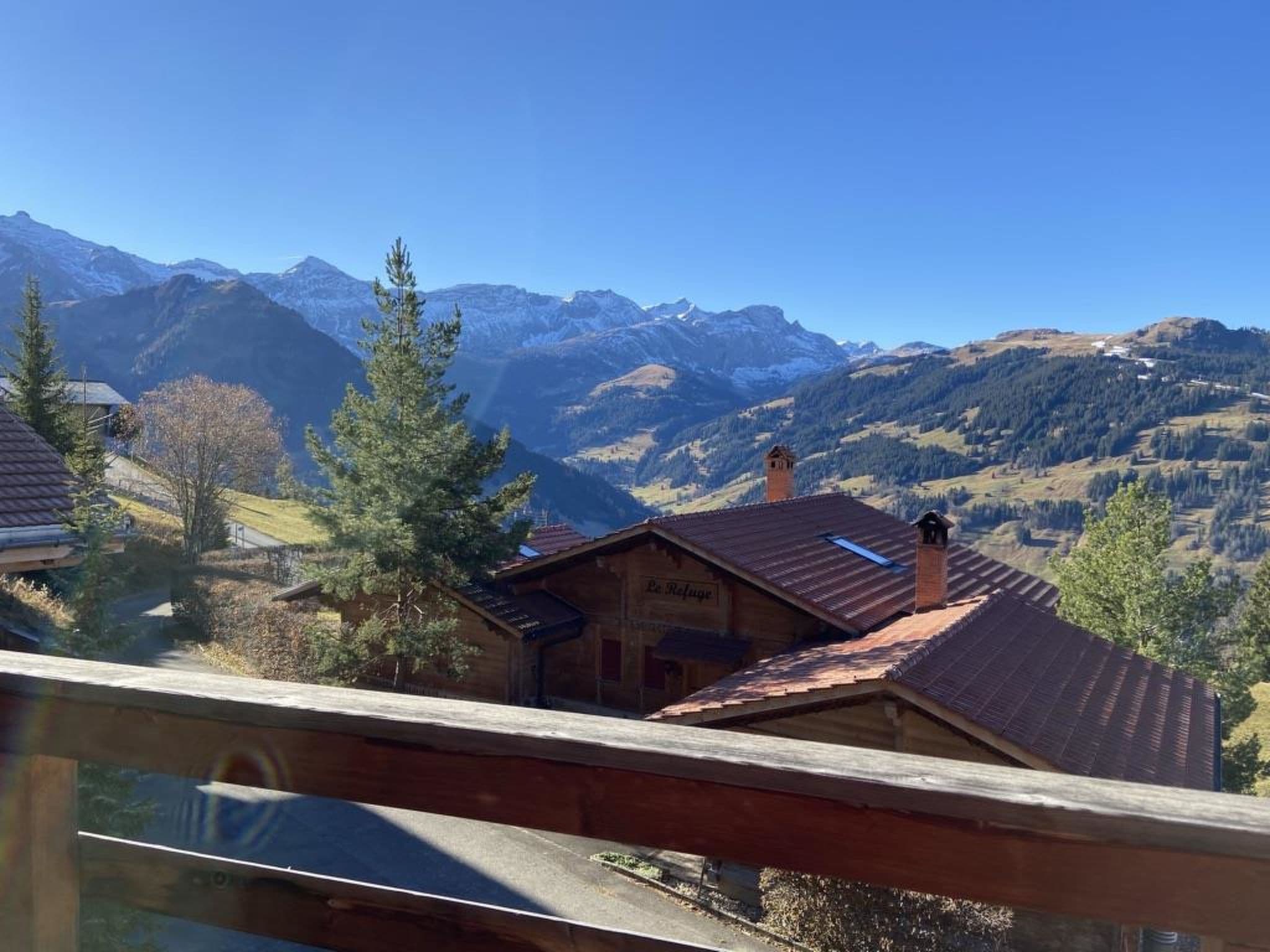 View