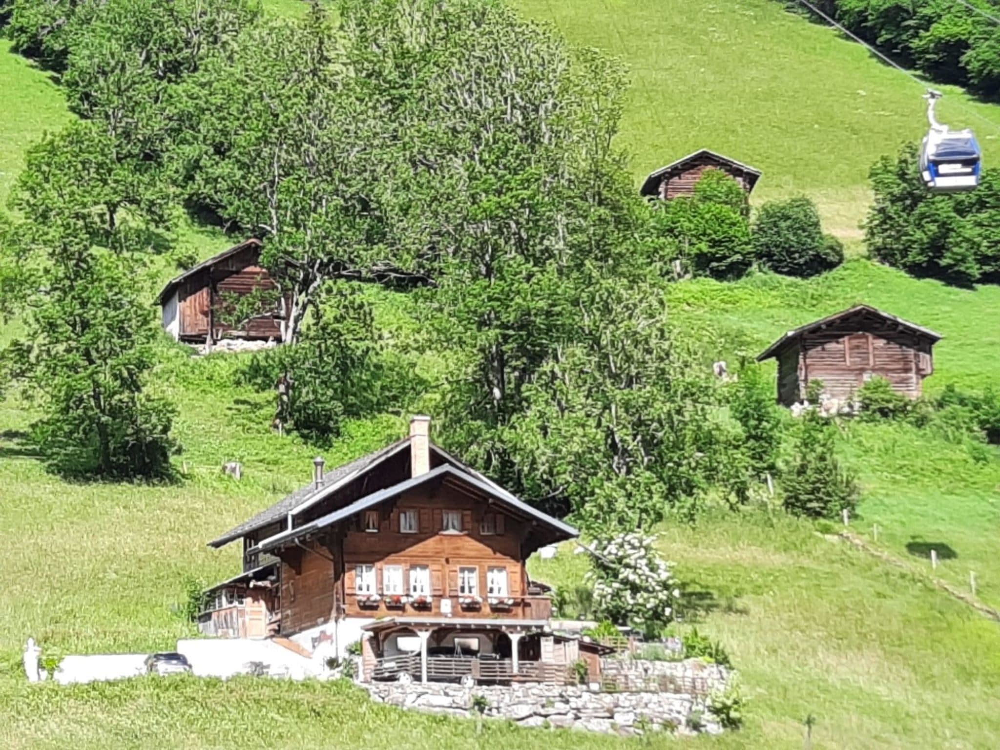 Outdoor