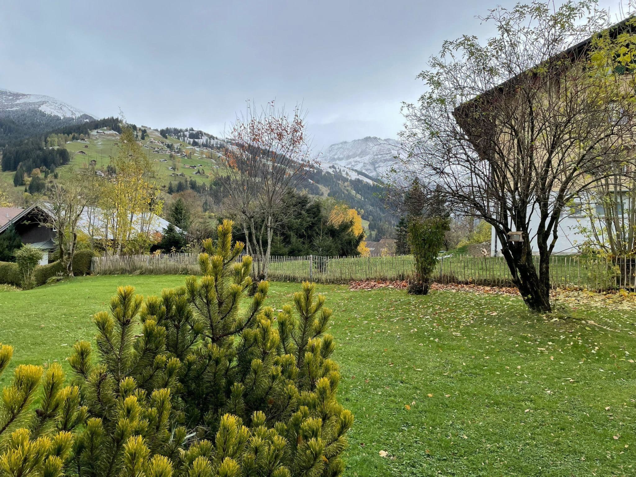 Outdoor