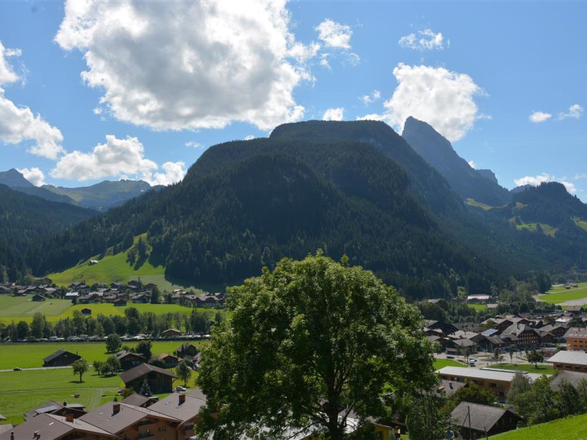 View