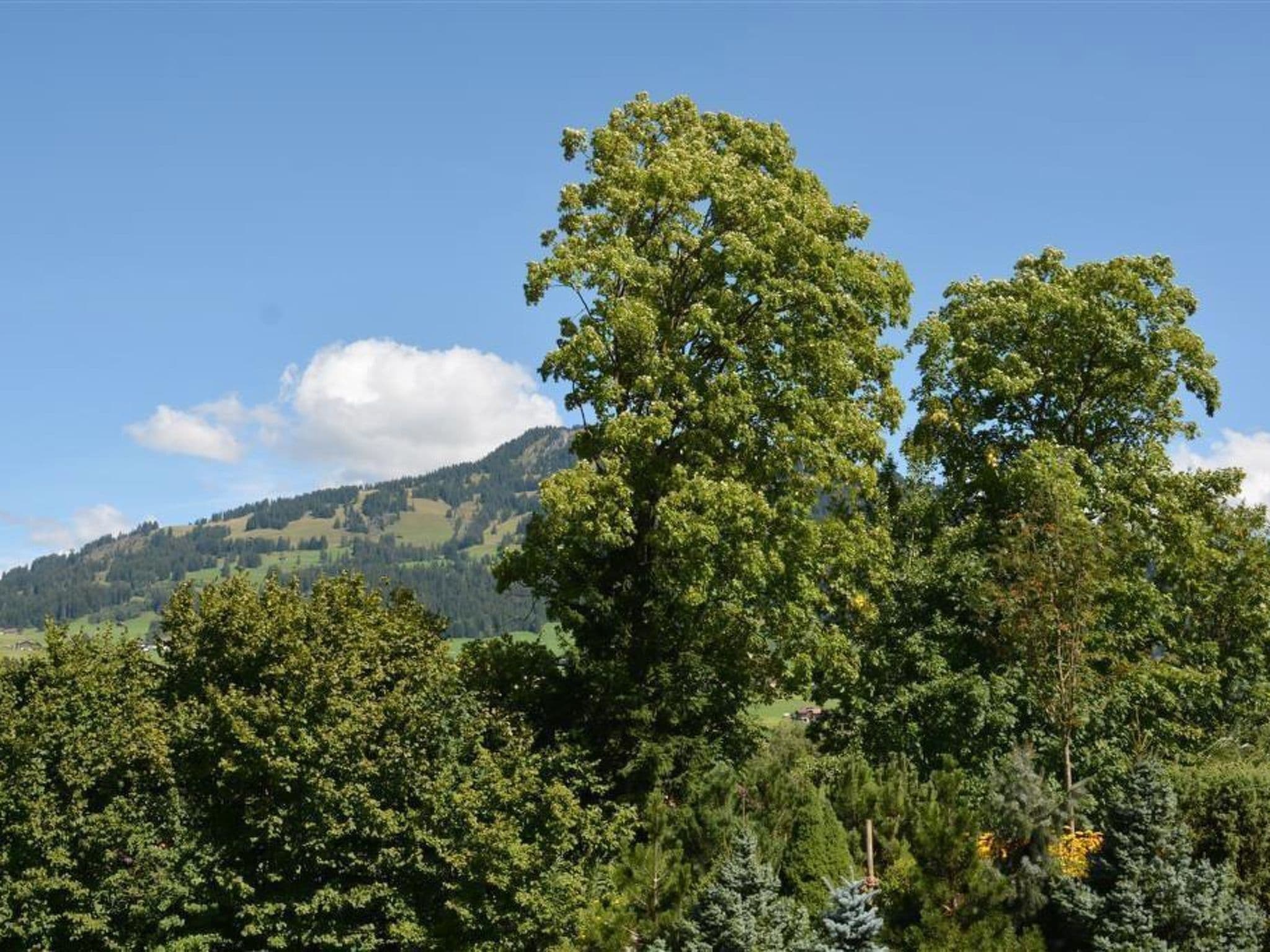 View