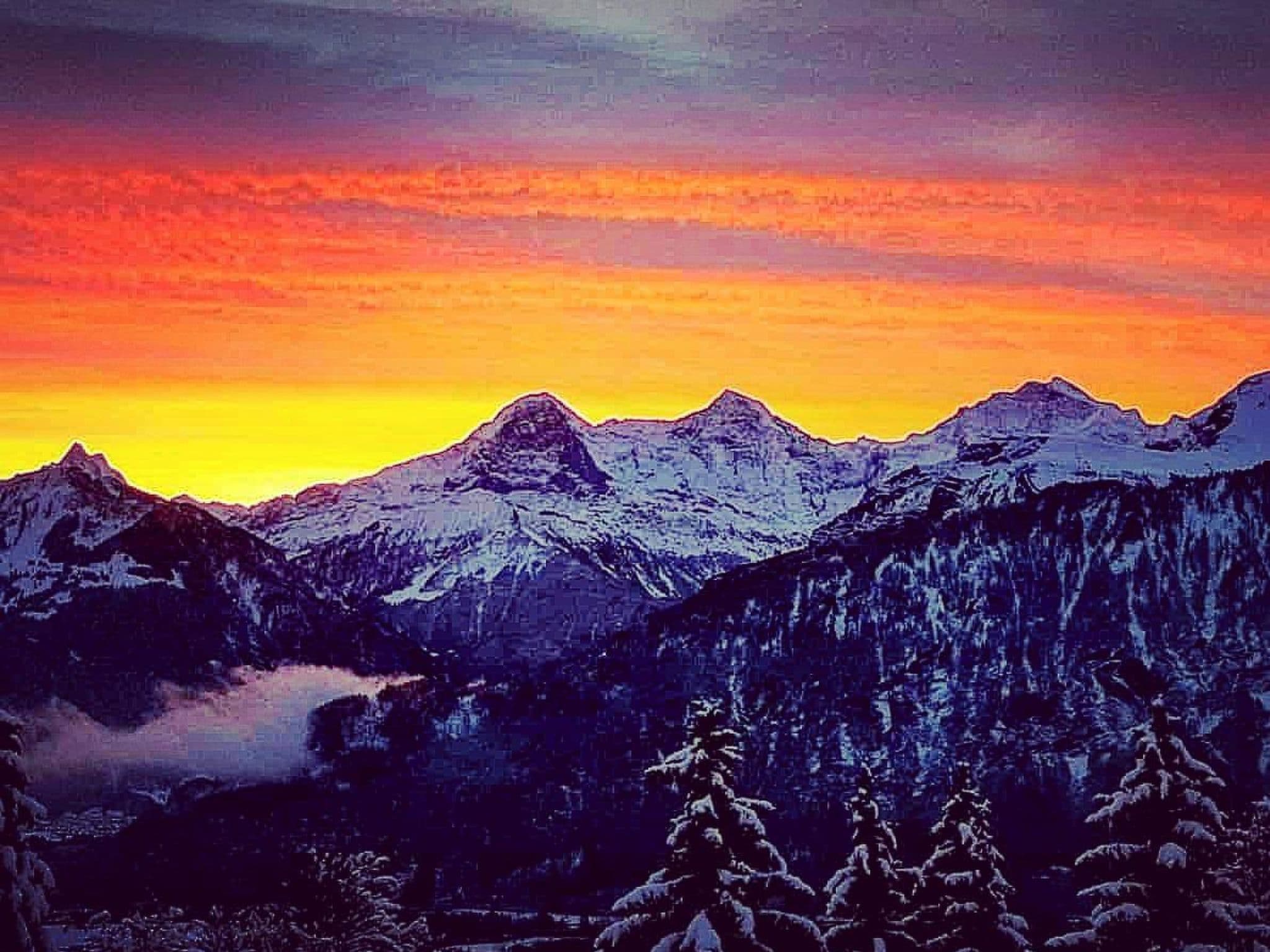View