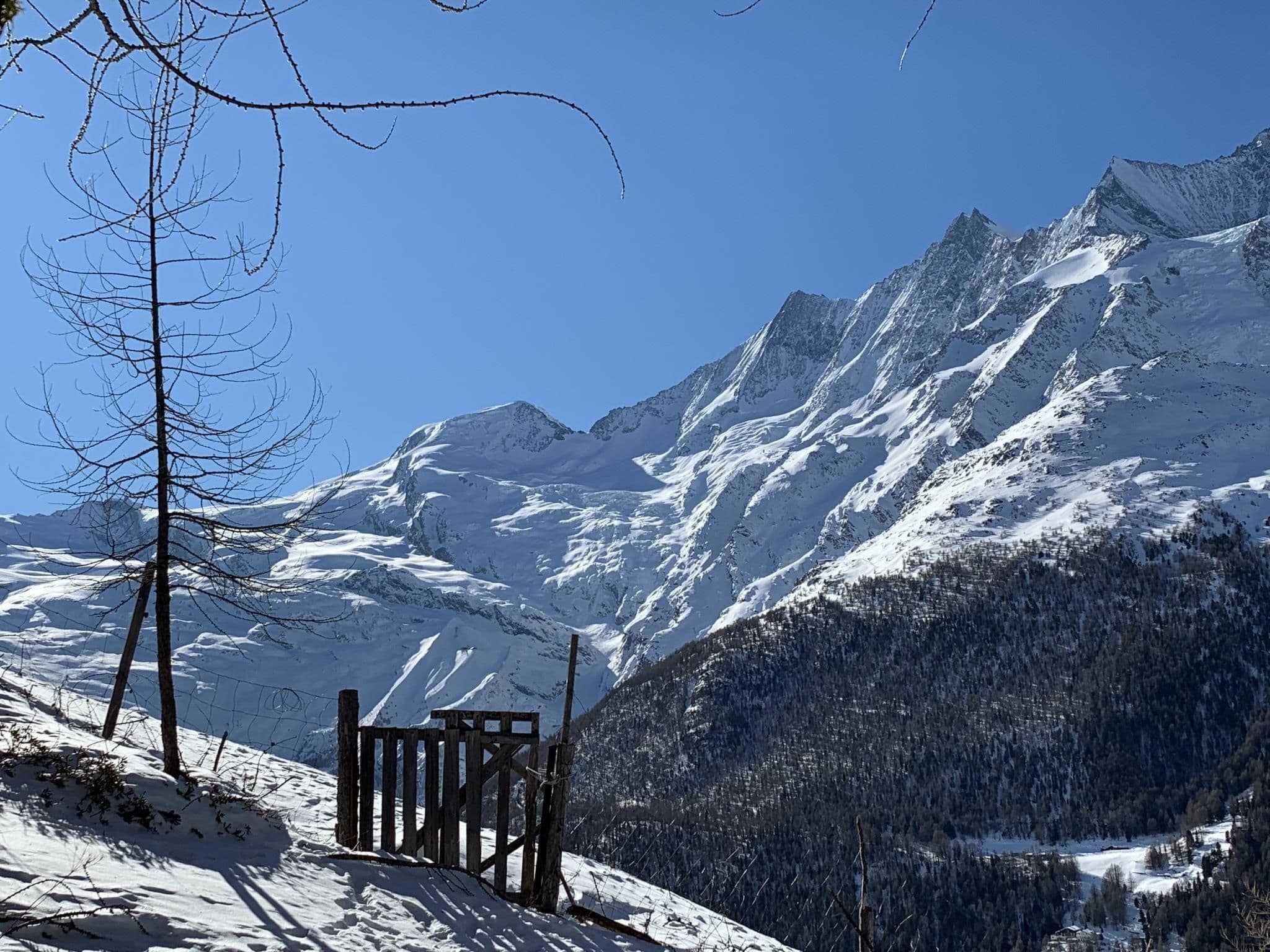 View