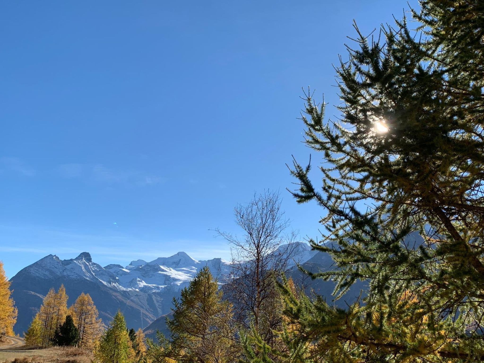 View