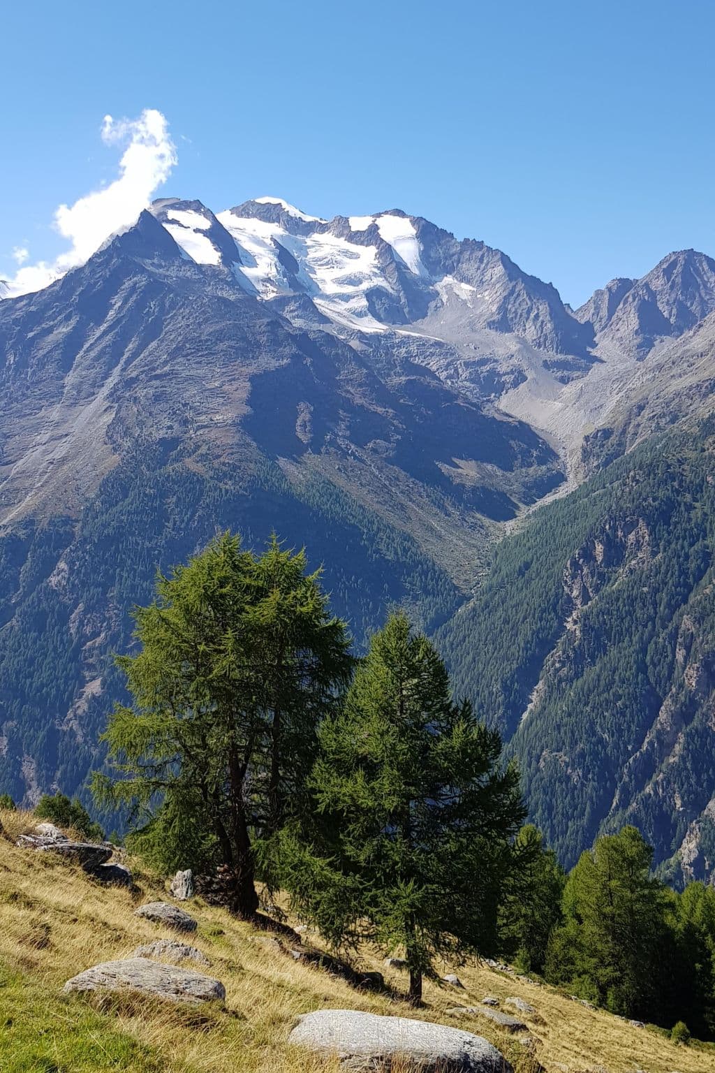 View