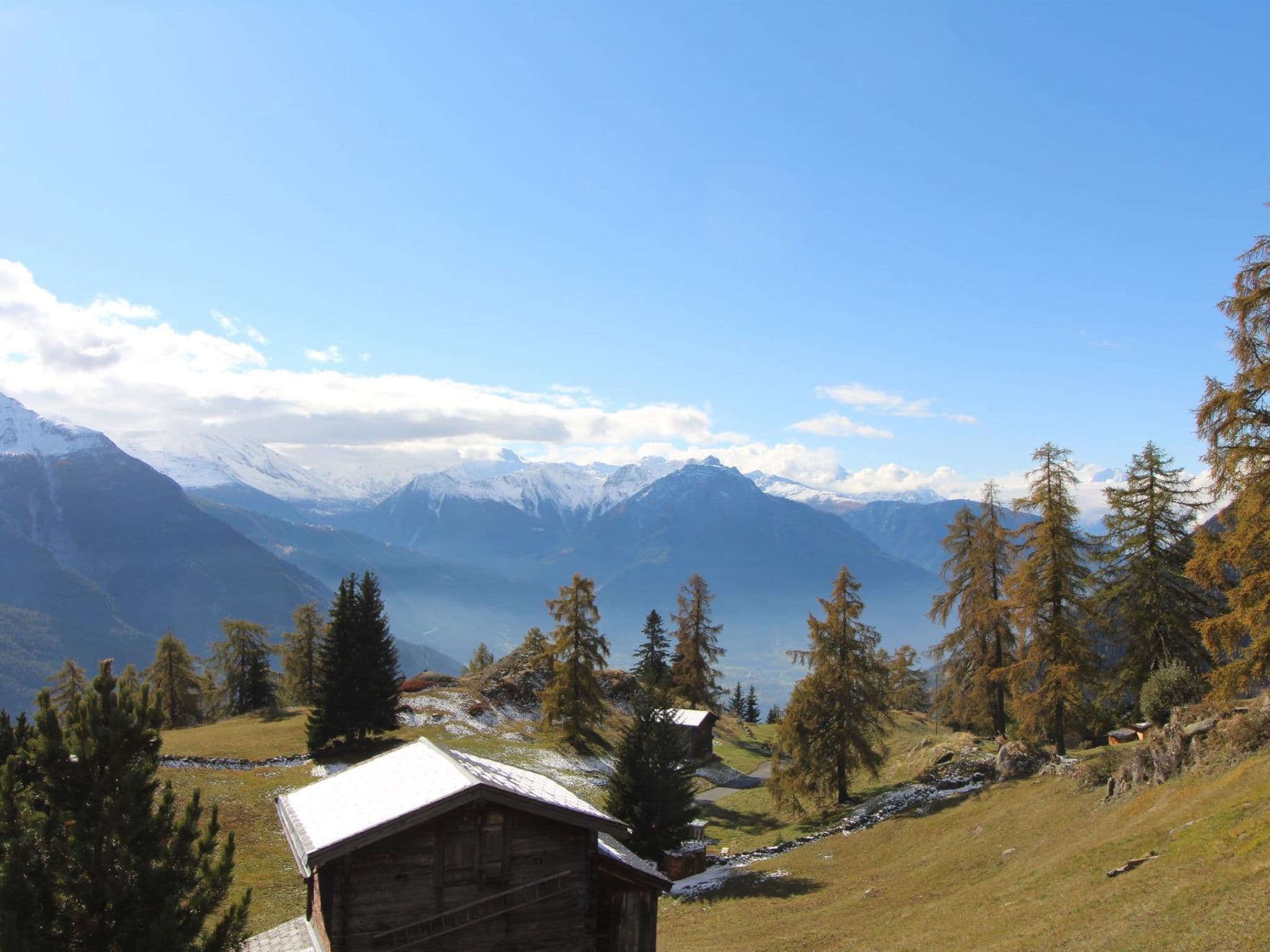 View