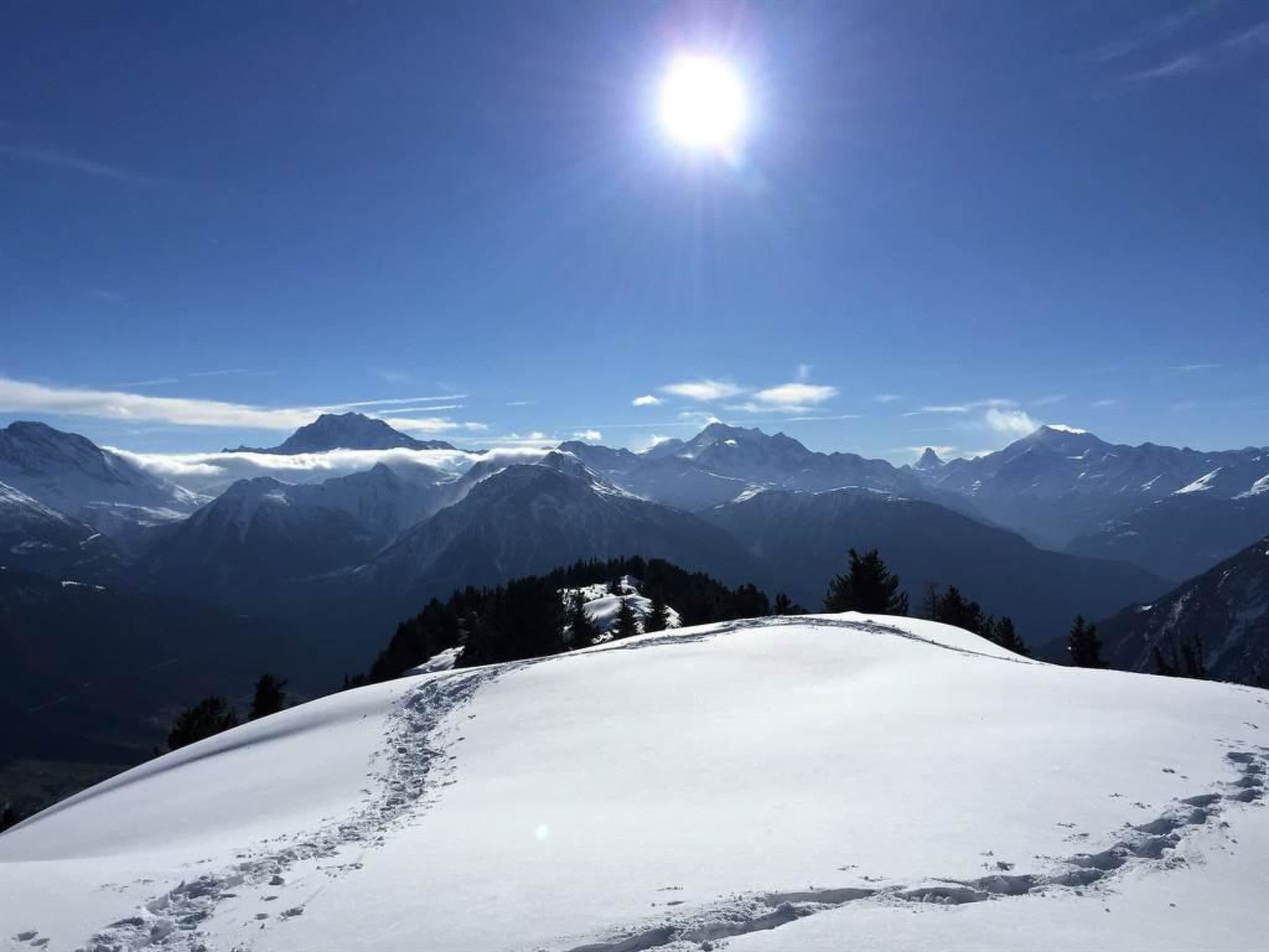 View