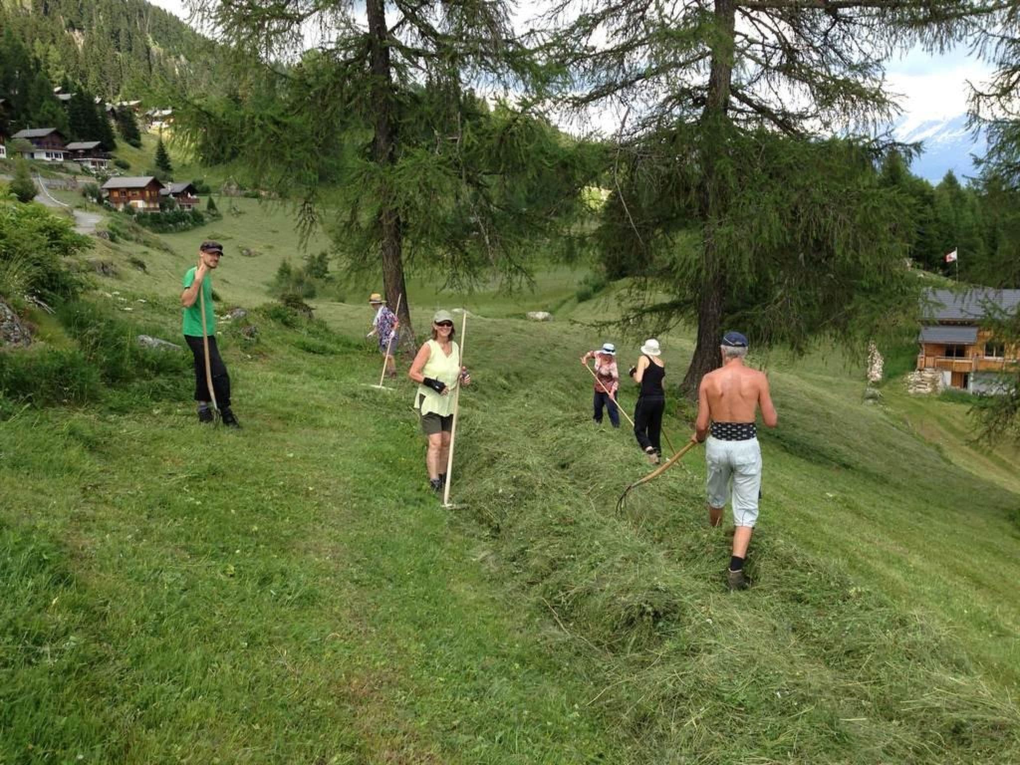 Outdoor