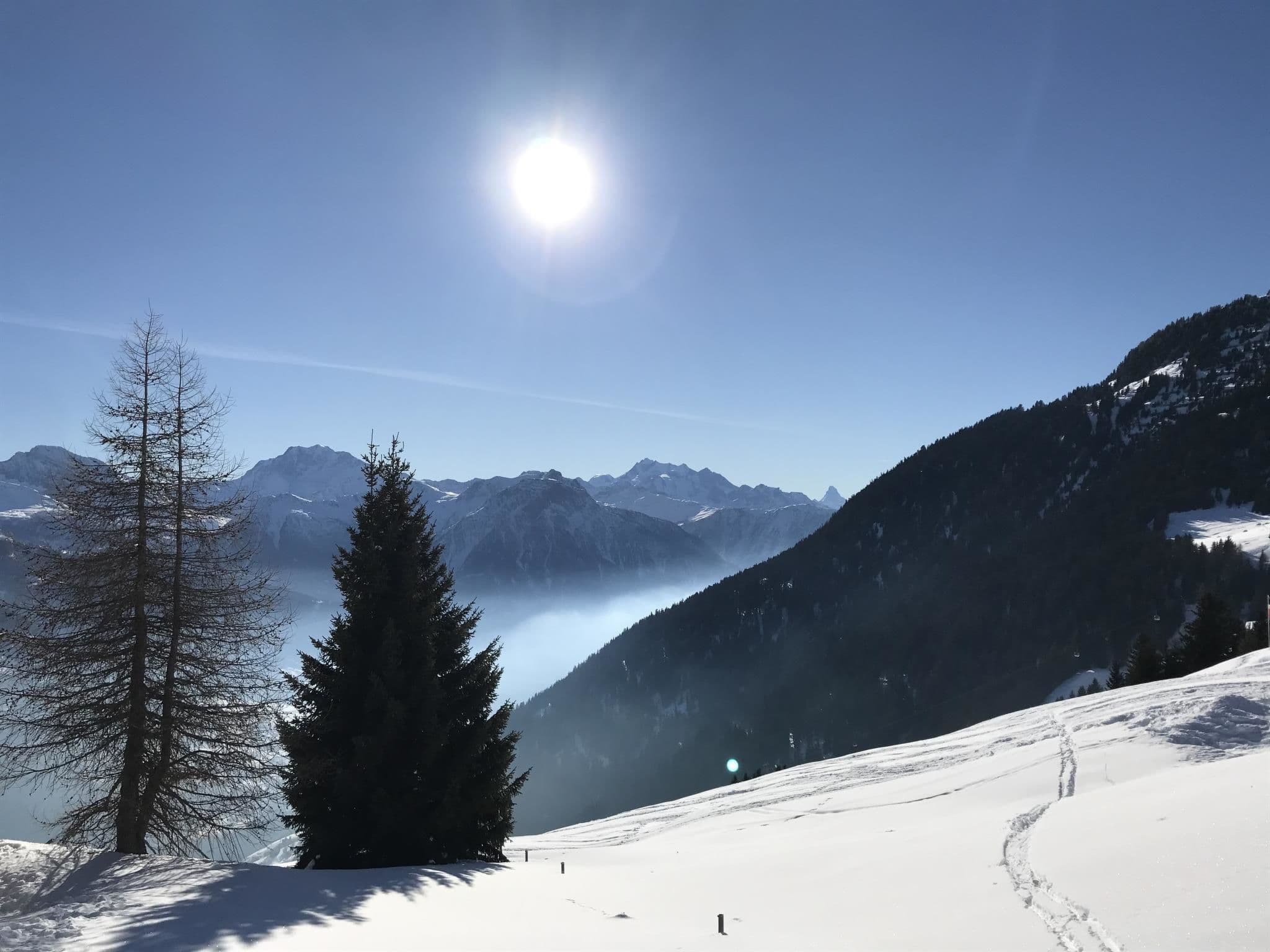 View