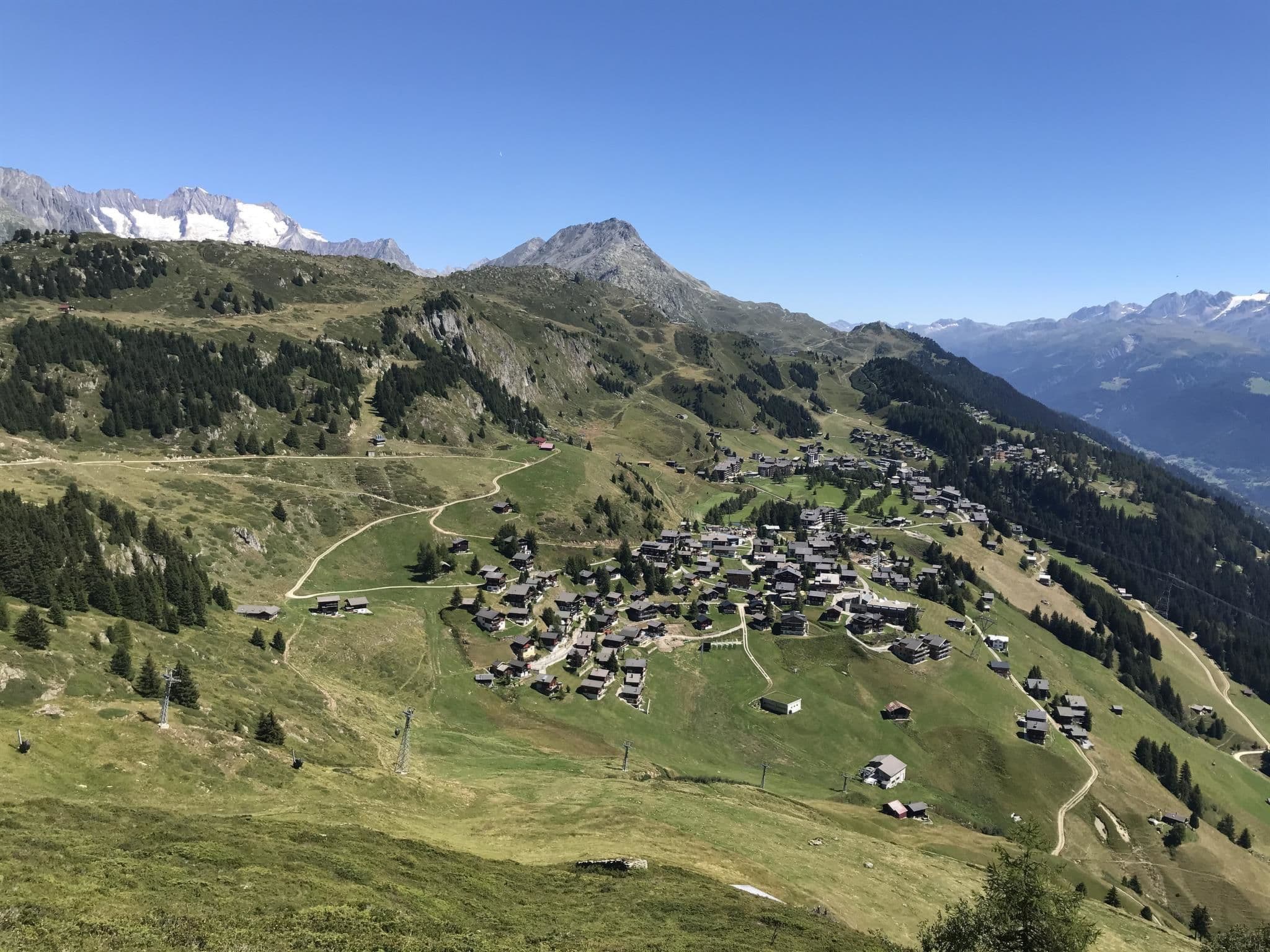 View