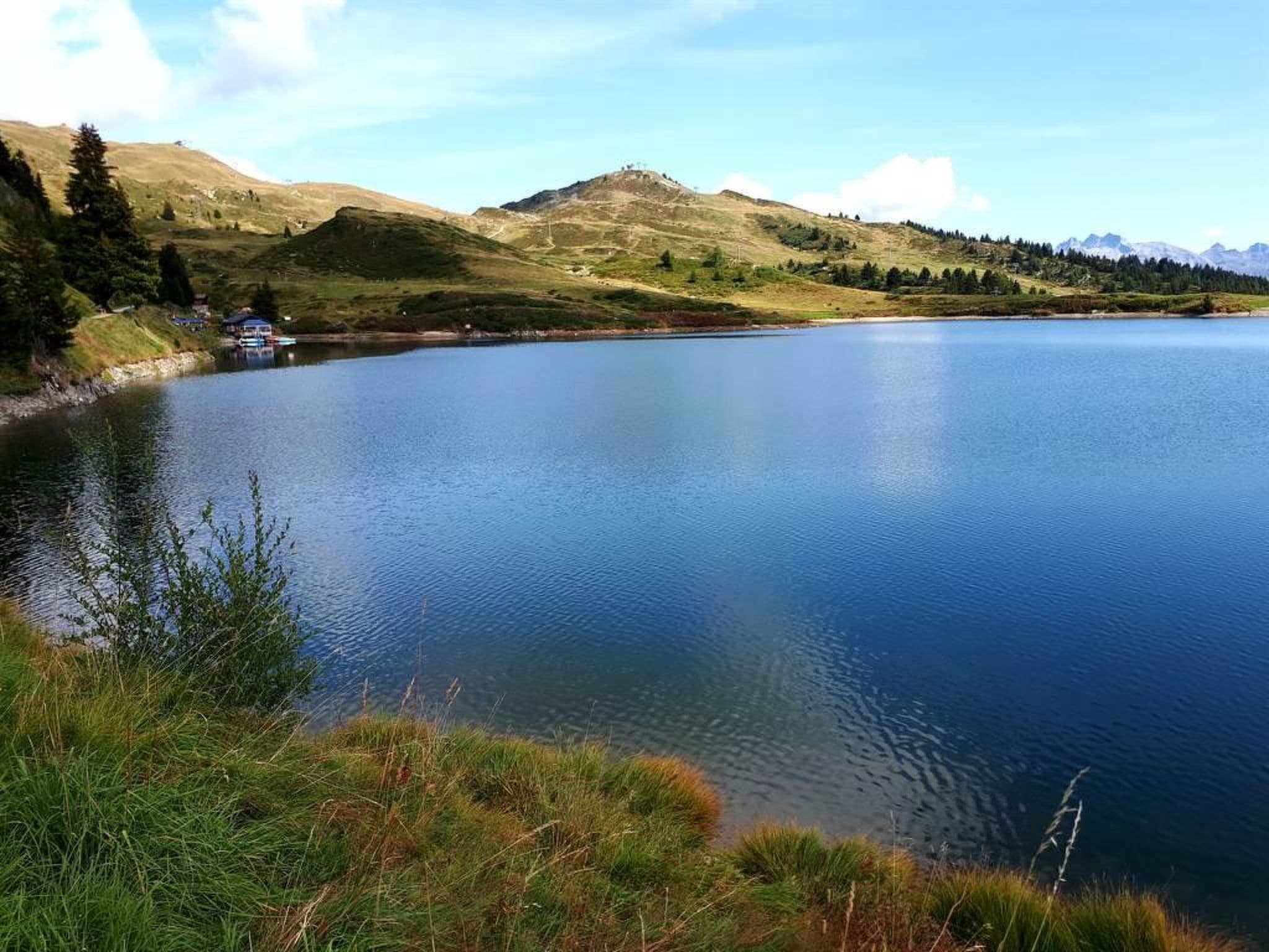 View