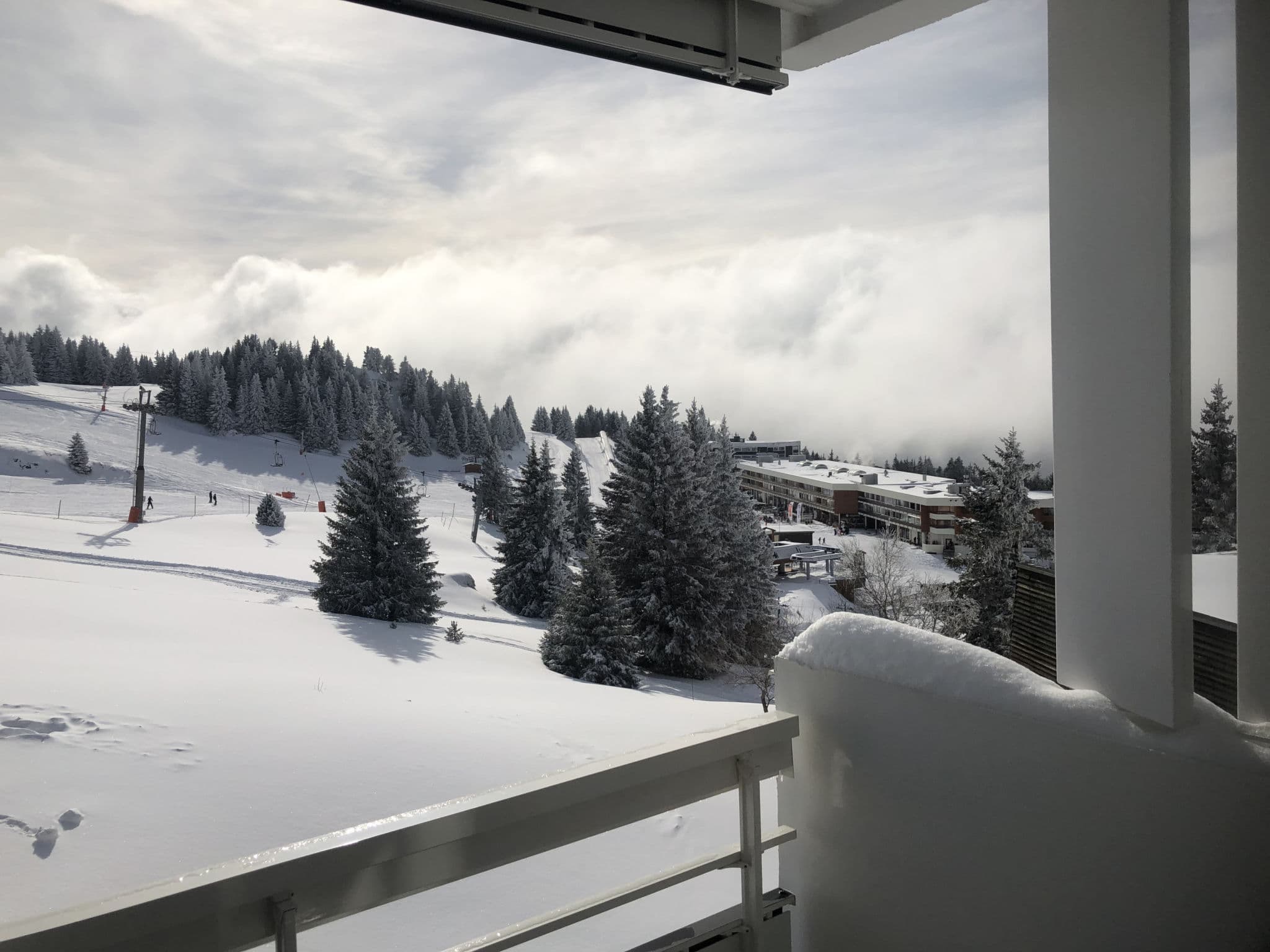 View