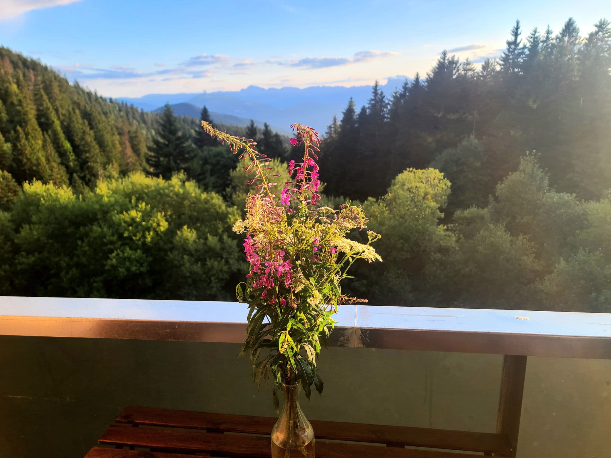 View