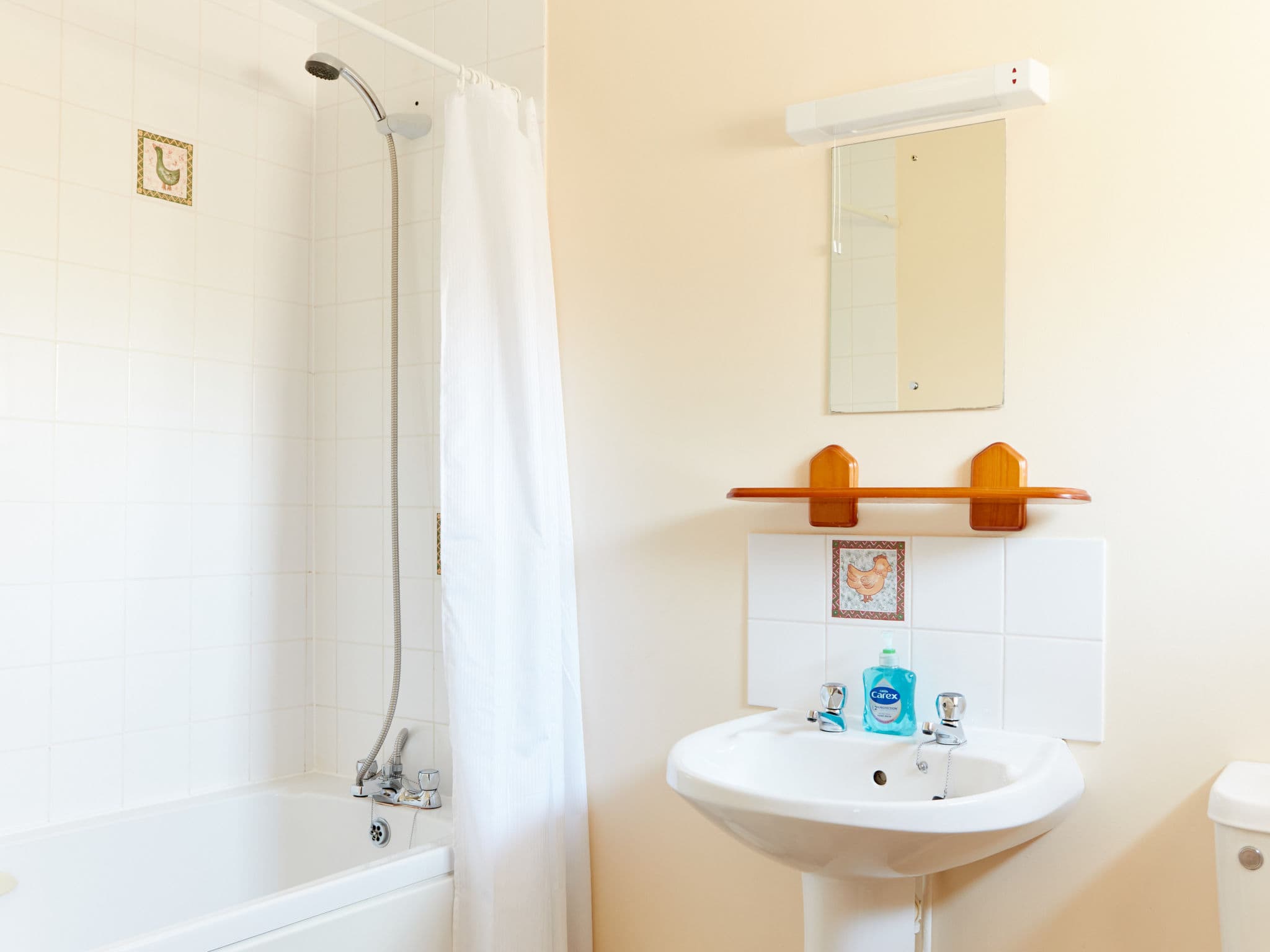 Bathroom / Wellness